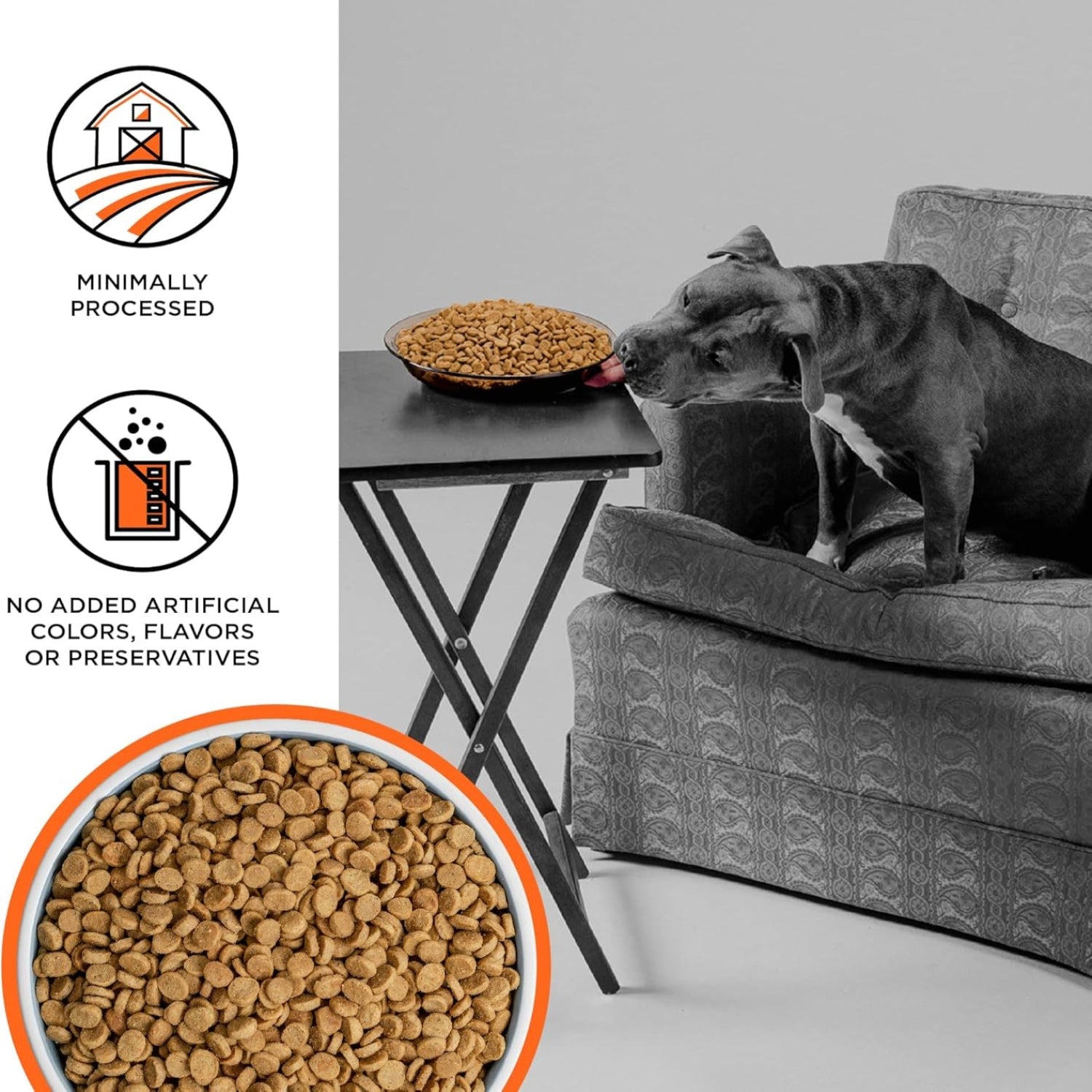 BIXBI Liberty grain-free dry dog food with chicken recipe, high protein, fresh meat, 11 lbs, USA-made, suitable for dogs.