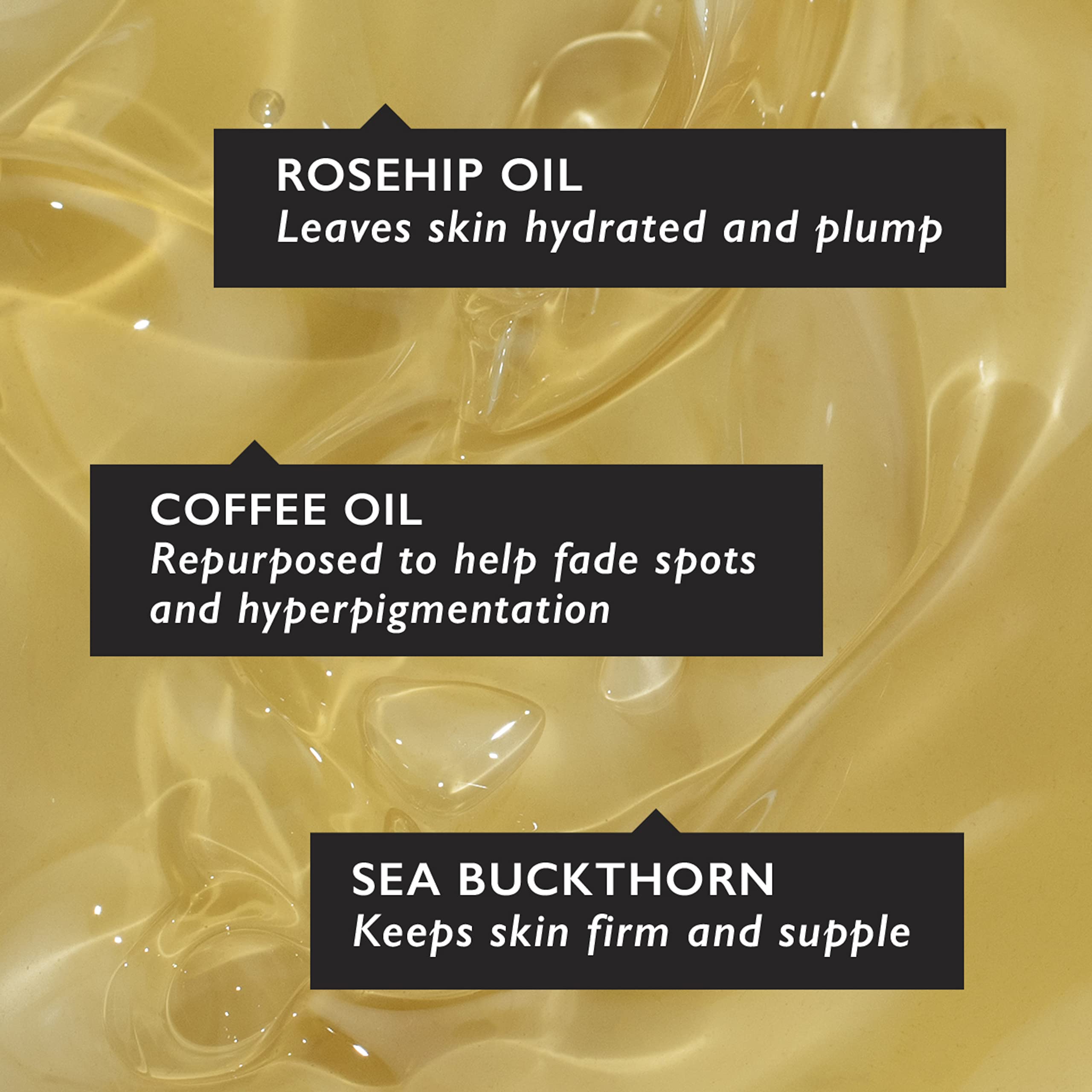 UpCircle Organic Face Serum With Coffee Oil - Vitamin C & Rosehip Oil Fades Dark Spo - UPCIRCLE Official Product View 5