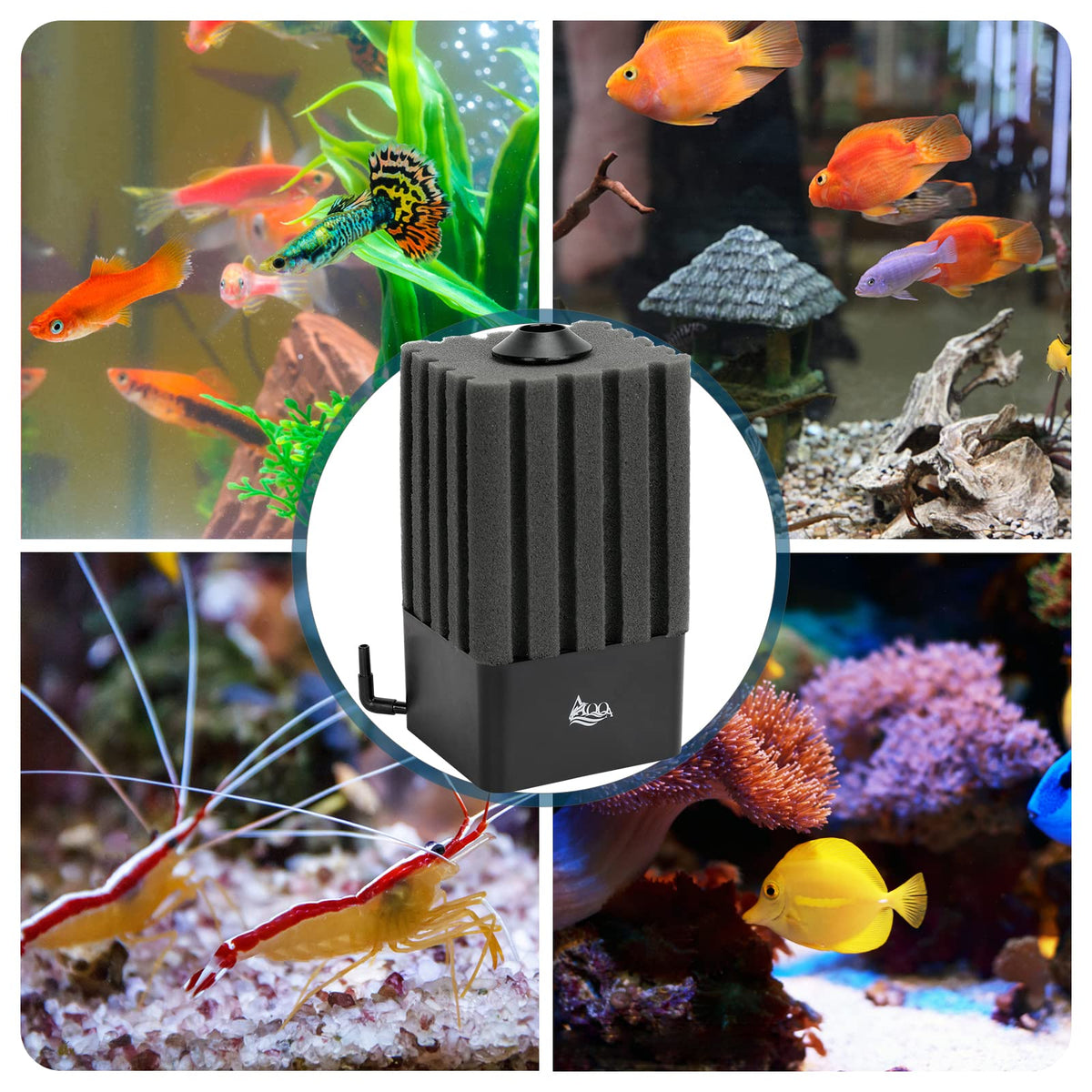 AQQA Aquarium Sponge Filter for 20 110 Gallon Submersible - AQQA Official Imagery - 8