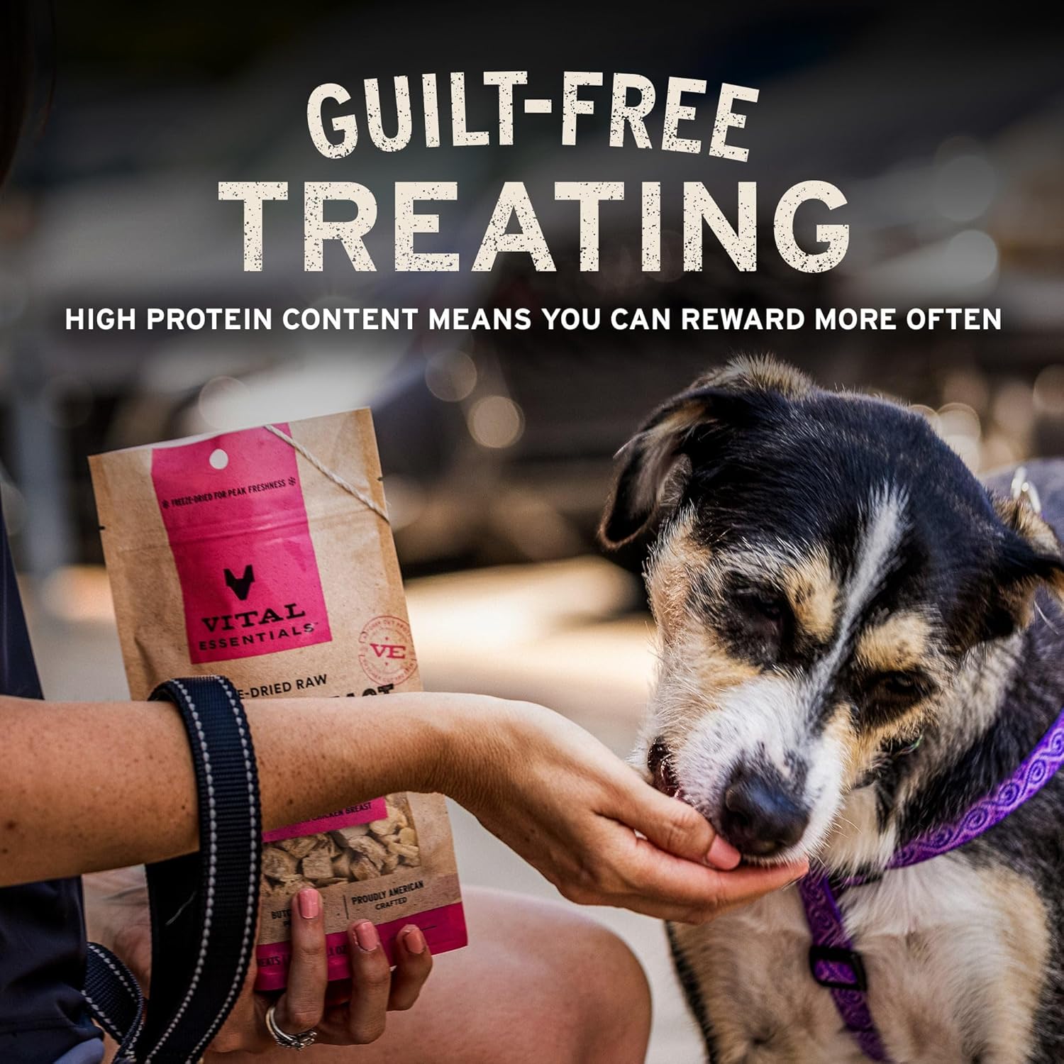 Vital Essentials freeze-dried minnows dog treats showing small, natural fish treats in clear packaging, single ingredient pet snack