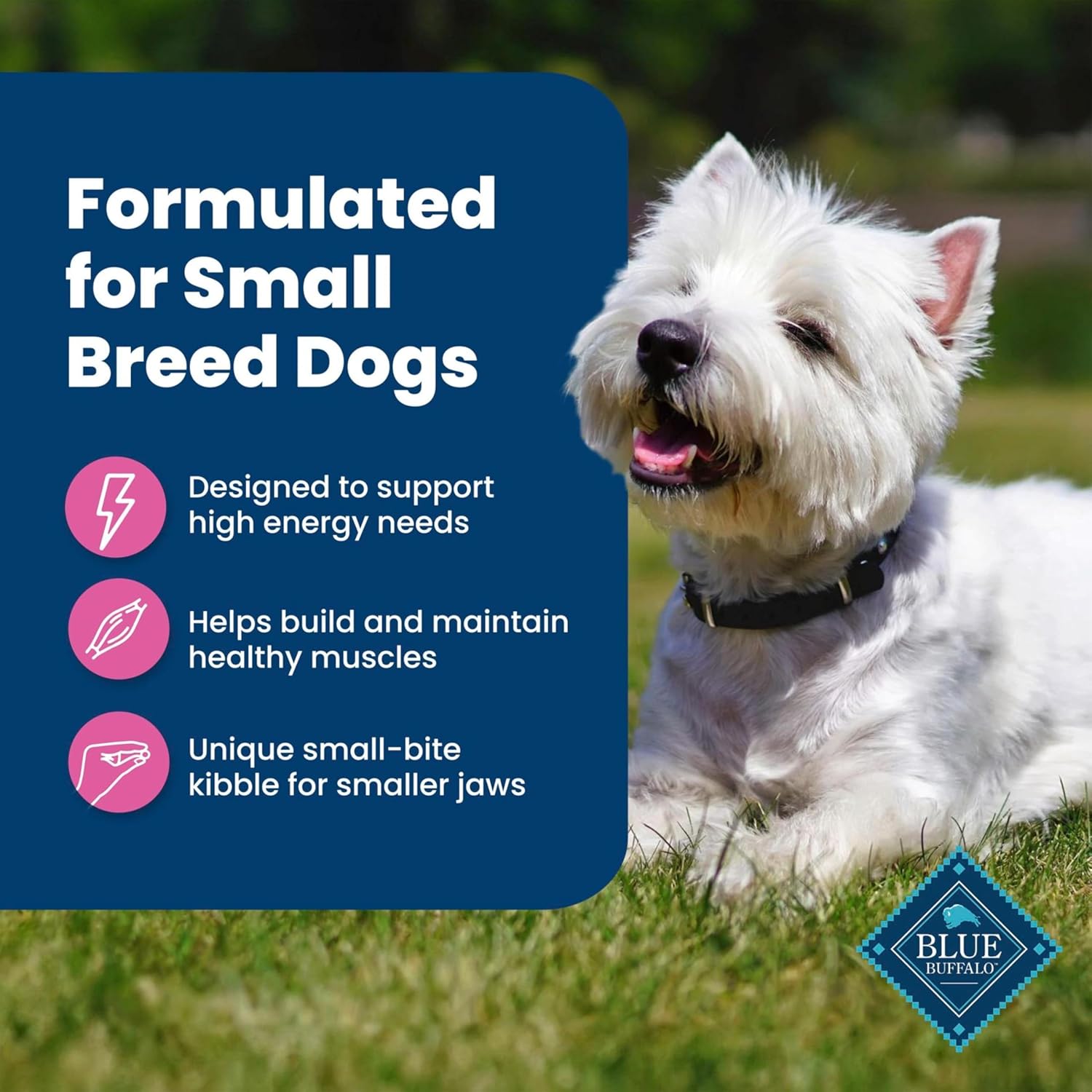 Blue Buffalo Life Protection Formula small breed dry dog food bag showing blue packaging and product details.