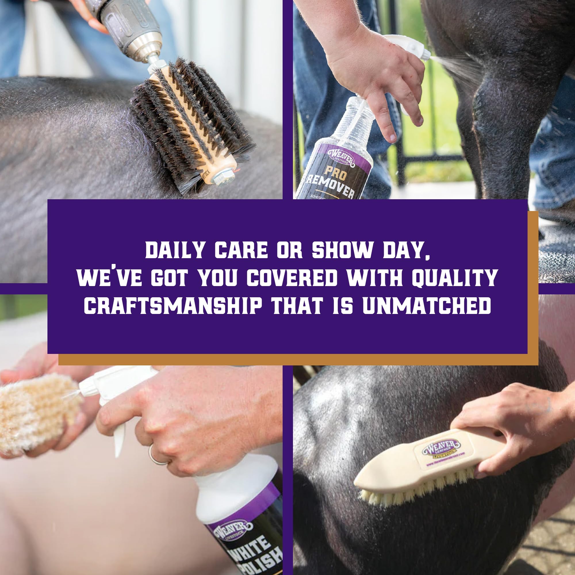 Weaver Livestock Swine Conditioner and Shine, Leave-in Conditioner for Smooth, Healthy Look, Skin, Hair Shine Products for All Skin Types