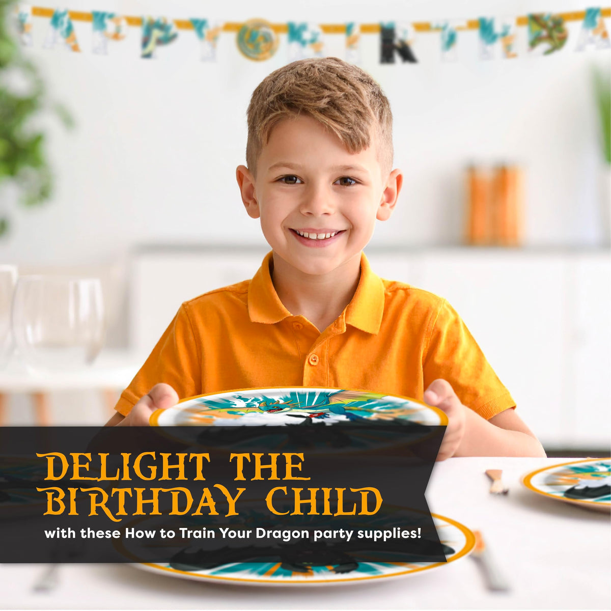 How to Train Your Dragon Party Supplies - Unique Official Imagery - 7