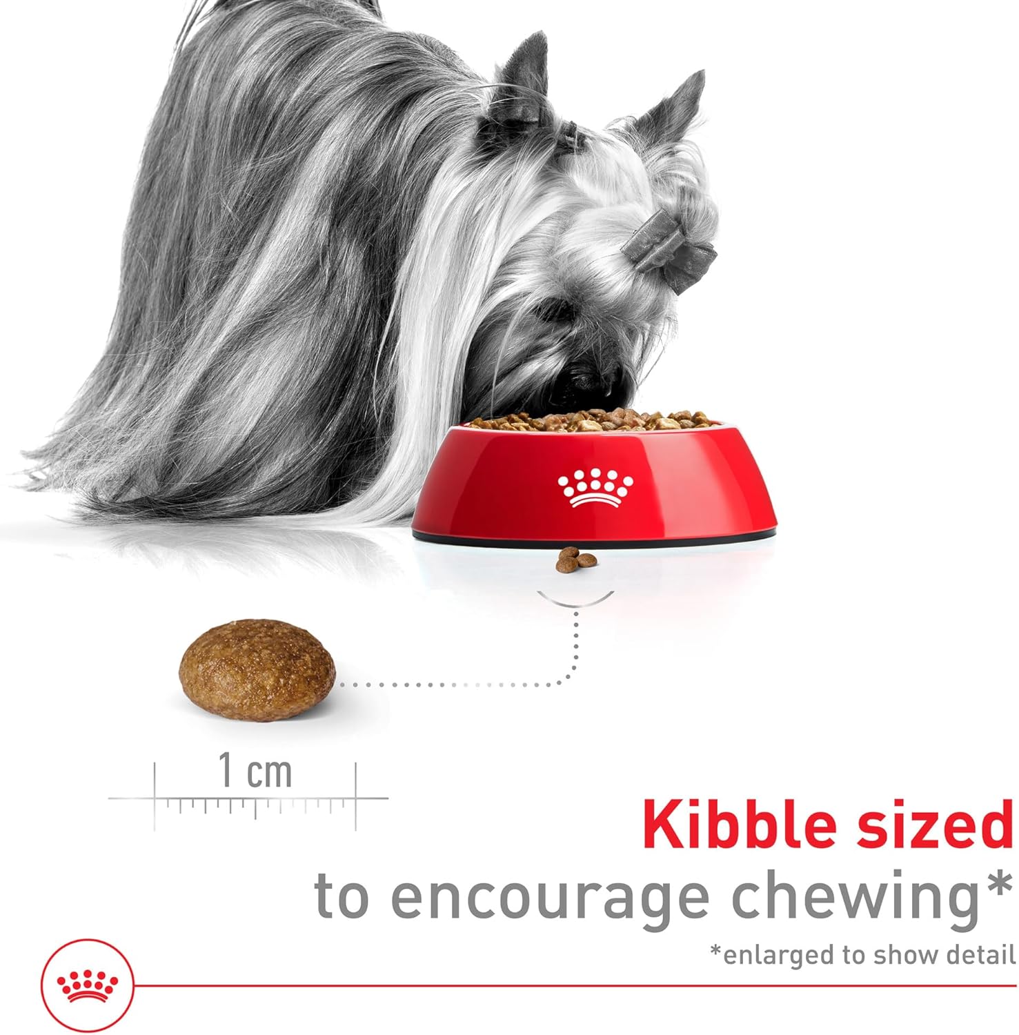 Elefair Royal Canin X-Small Senior Dry Dog Food bag, 2.5 lb, with small kibble designed for aging small breed dogs.
