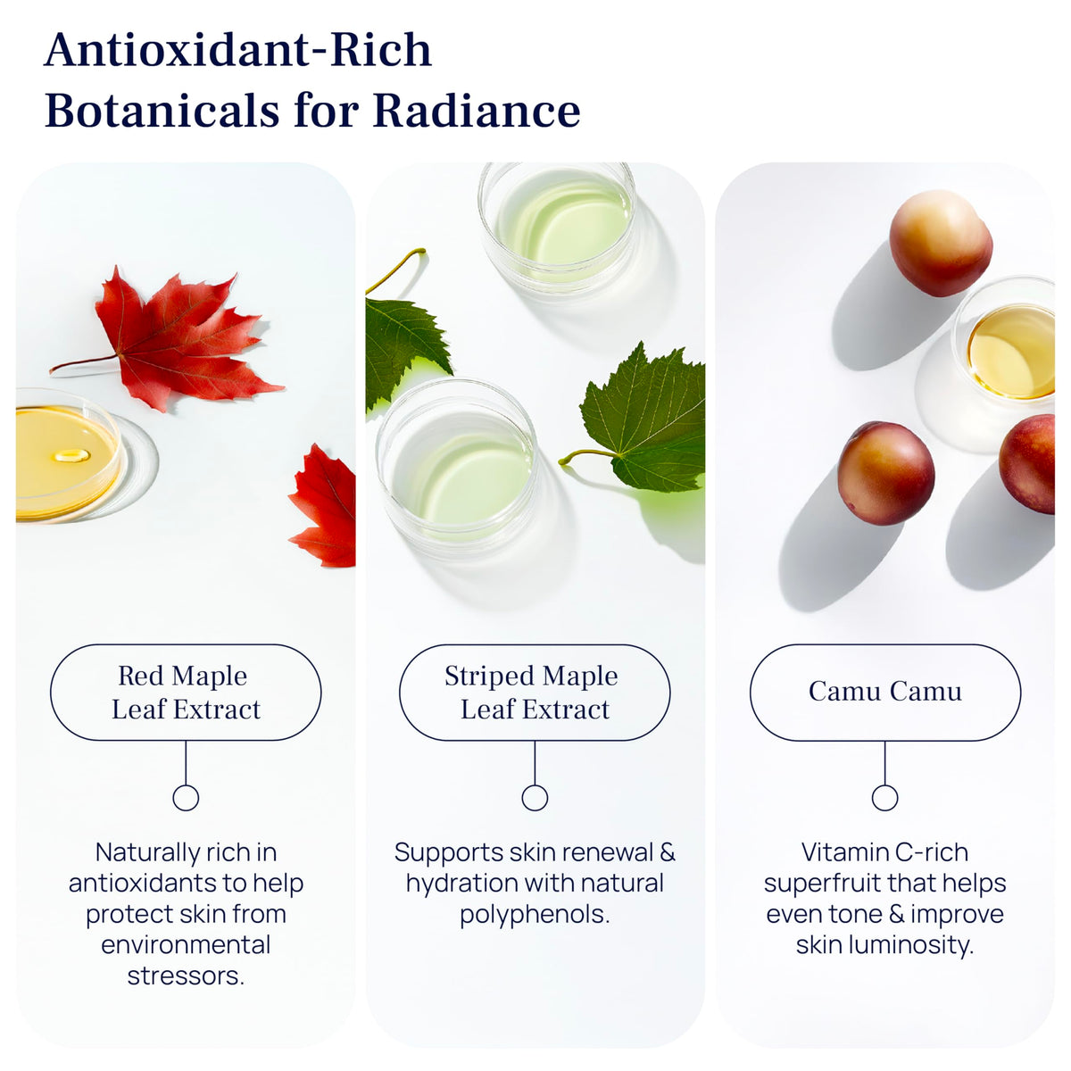 PUREANCE Cellular Restore Serum - PUREANCE Official Imagery - 8