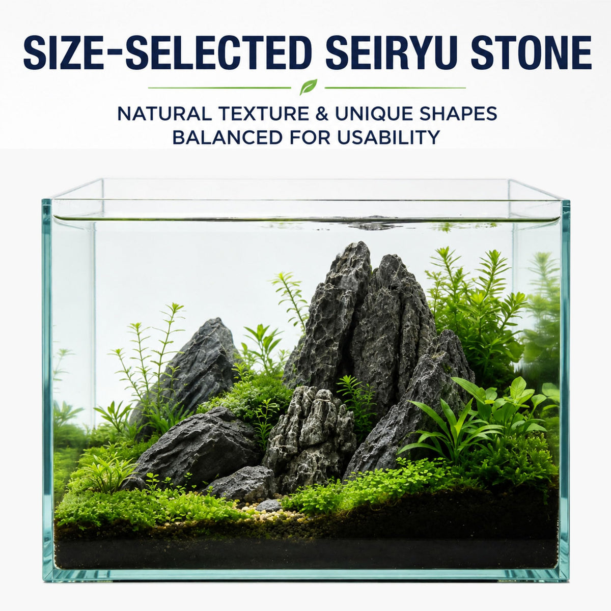 Seiryu Stone Aquascaping Rocks 5 lb Aquarium Stone Set - Korvuli Official Imagery - 3