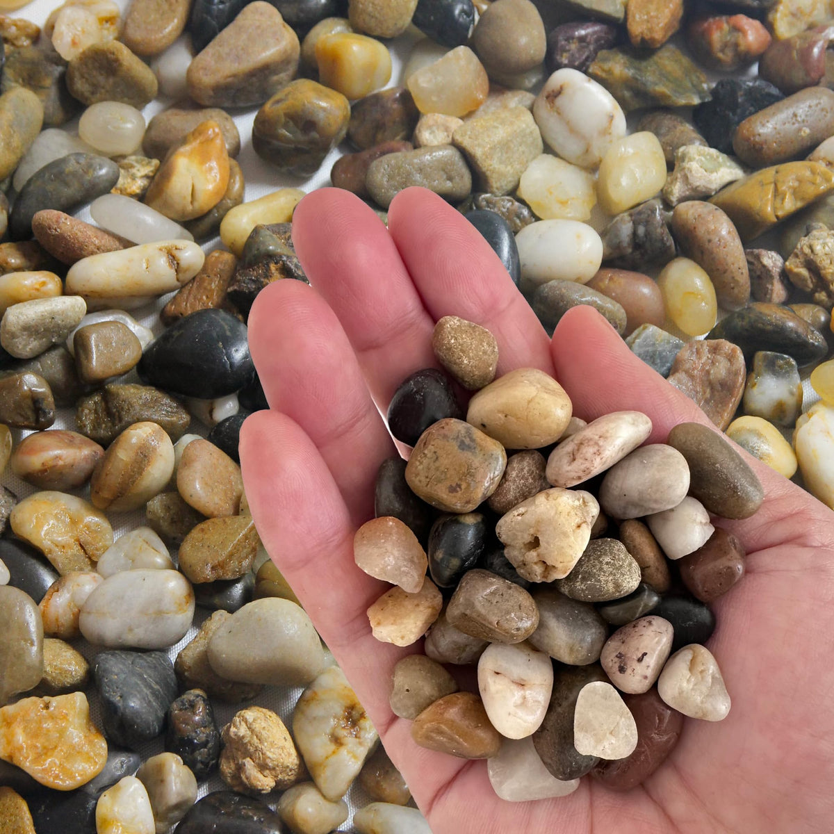 10lb Natural Decorative Polished Mixed Pebbles - OUPENG Official Imagery - 6