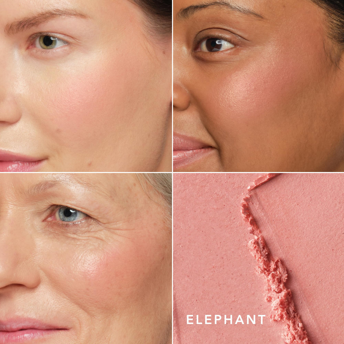 Chantecaille Cheek Shades in Pebble Finely Milled - Premium Selection Official Imagery - 3
