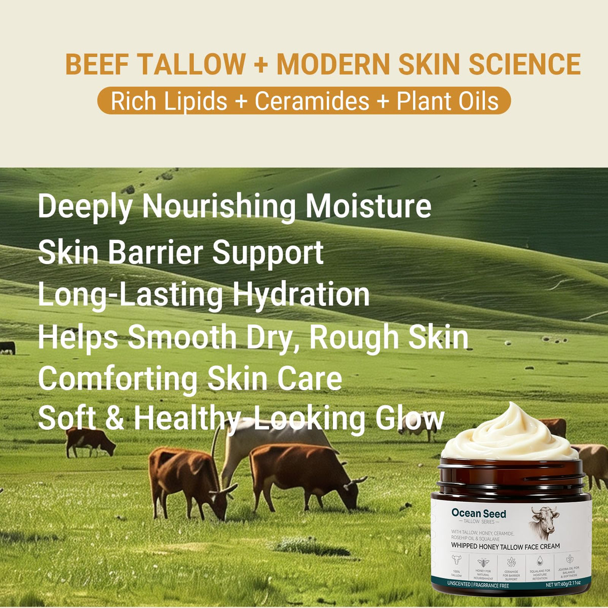 Frankincense Tallow Face Cream Whipped Moisturizer with - Ocean Seed Official Imagery - 3