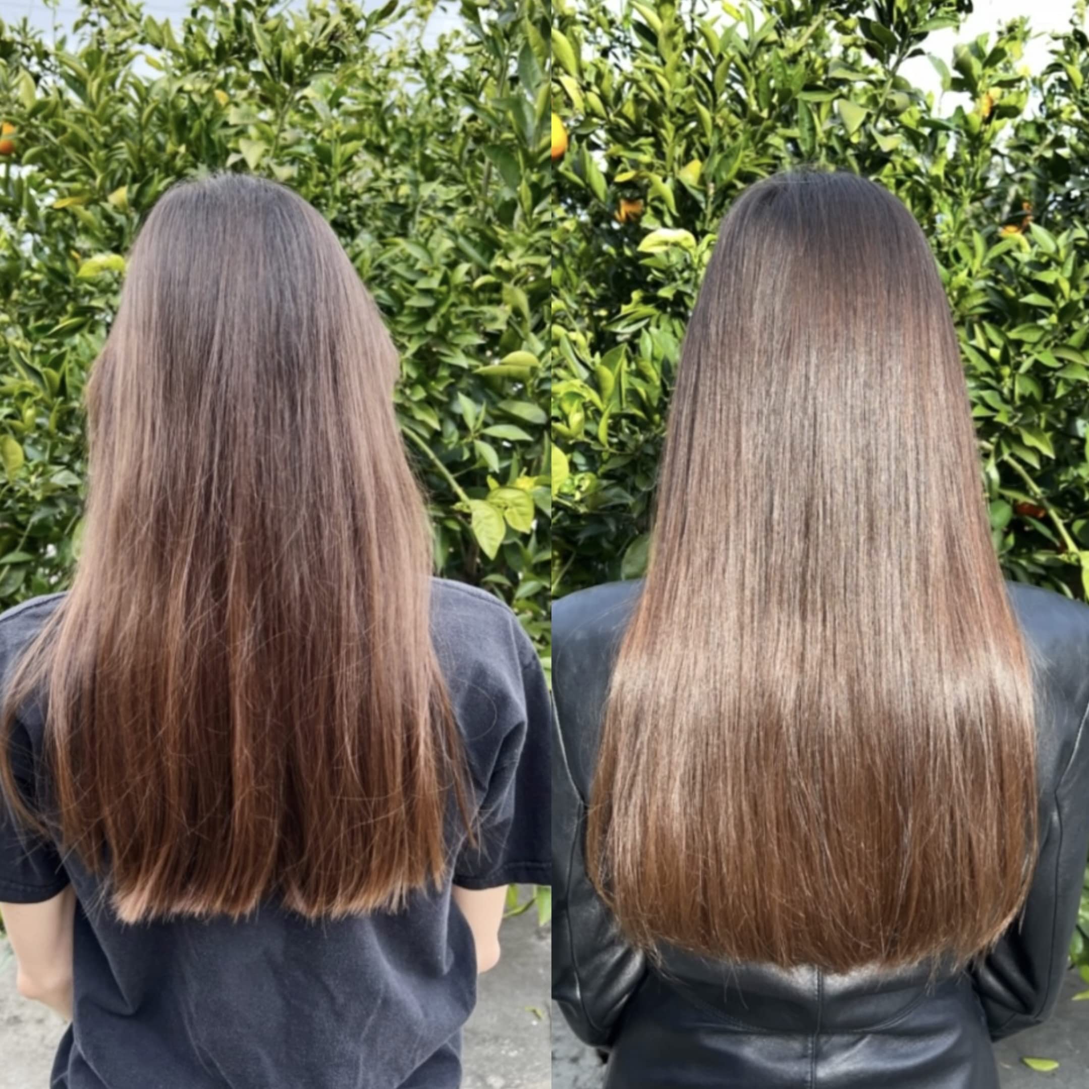 Bur Bur Growing Season Hair Growth And Repair Oil - With Burdock & Nettle Oil - Bur Bur Official Product View 9