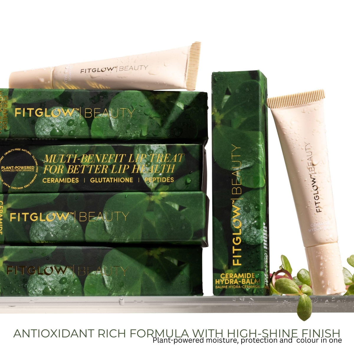 Fitglow Beauty Ceramide Hydra Balm Lip Gloss Bare 12g - FITGLOW Official Imagery - 6