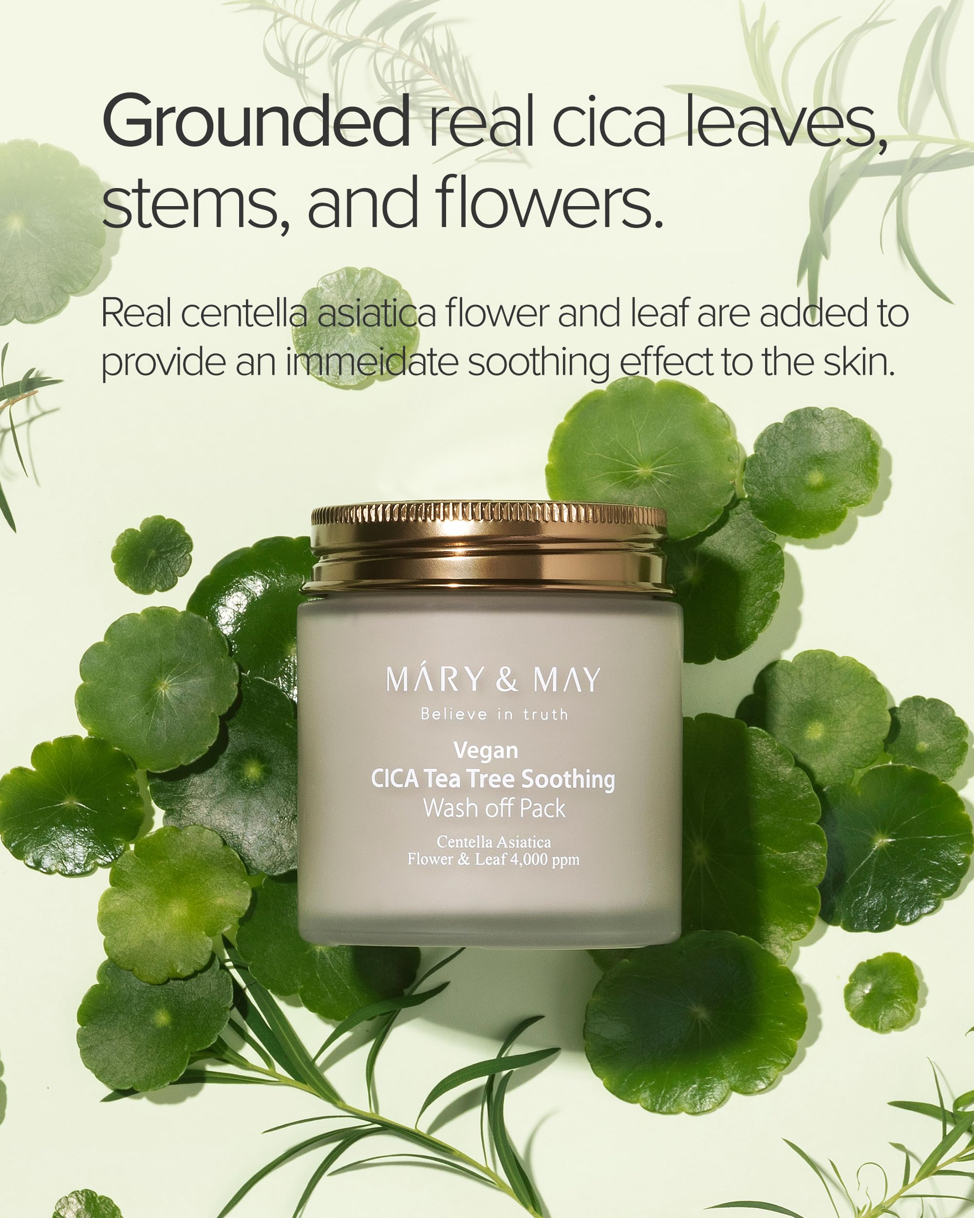 Mary&amp;May Vegan Cica Tea Tree Wash-Off Clay Mask, 4.23 oz - Mary&amp;May