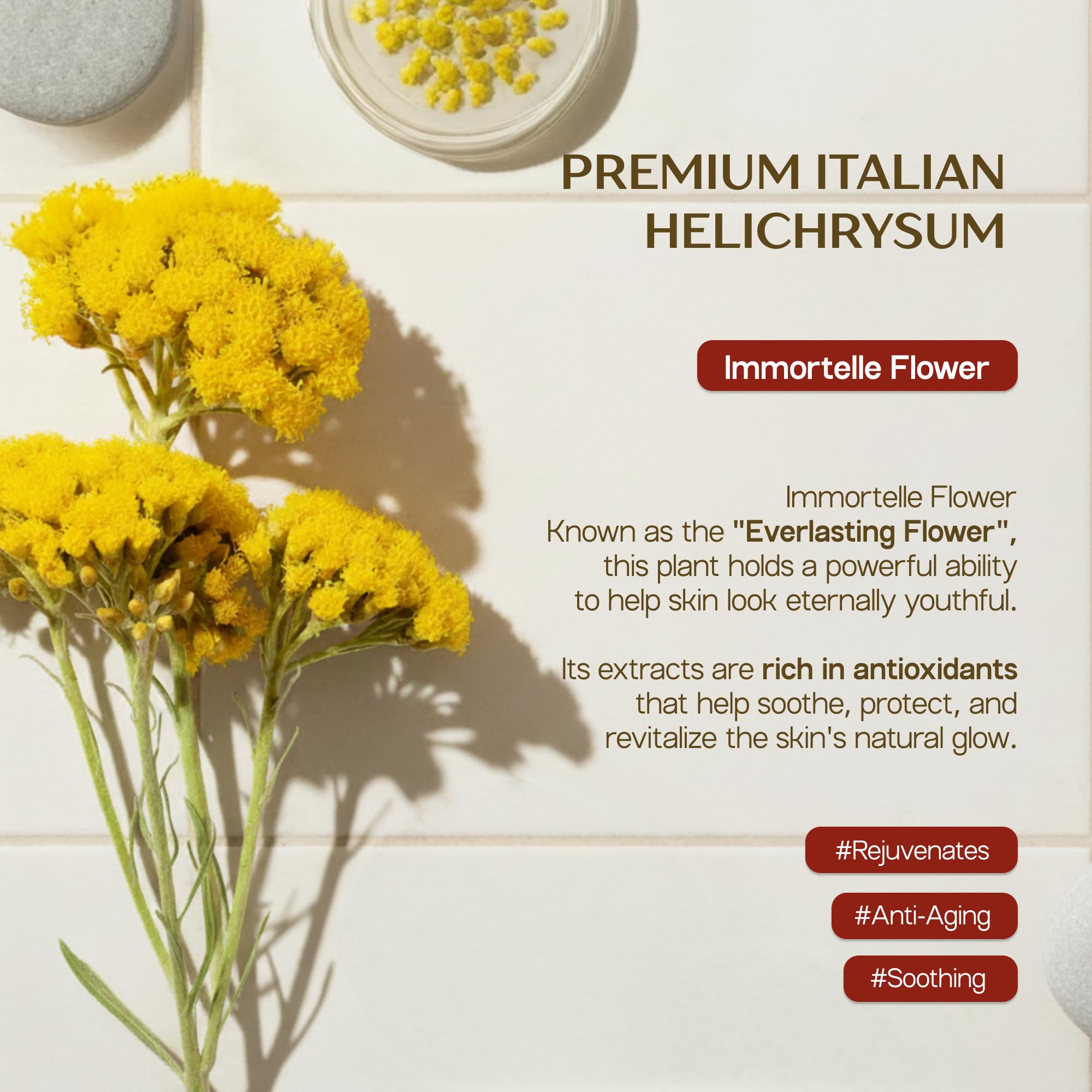 Velvet Aura Helichrysum Balm for mature, delicate skin in a 2 oz jar, a nourishing skin moisturizer with a soft velvet texture.