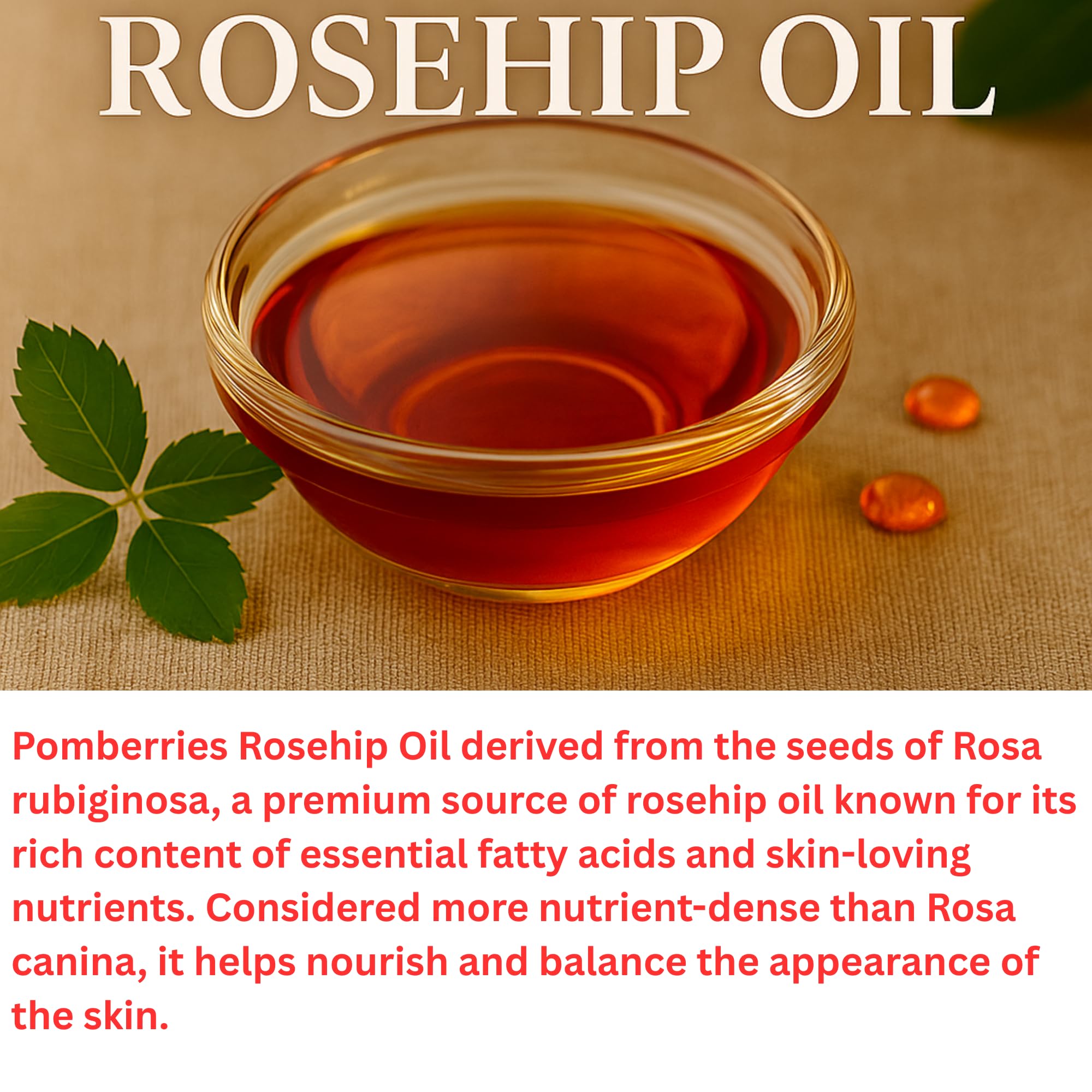 Pomberries Rosehip Oil, 16 fl oz Amber Glass Bottle, Rosehip Oil for Face, Skin - Pomberries Official Product View 3