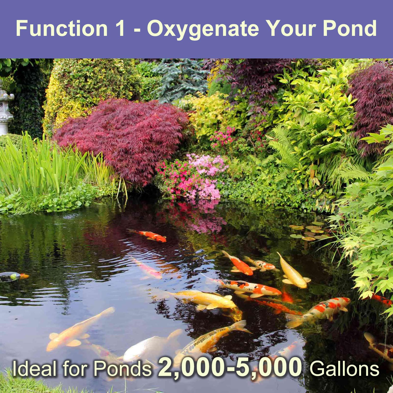 AquaMiracle Koi Pond Aerator Pond Air Pump with Self-Sinking Airl - AquaMiracle Official Product View 5