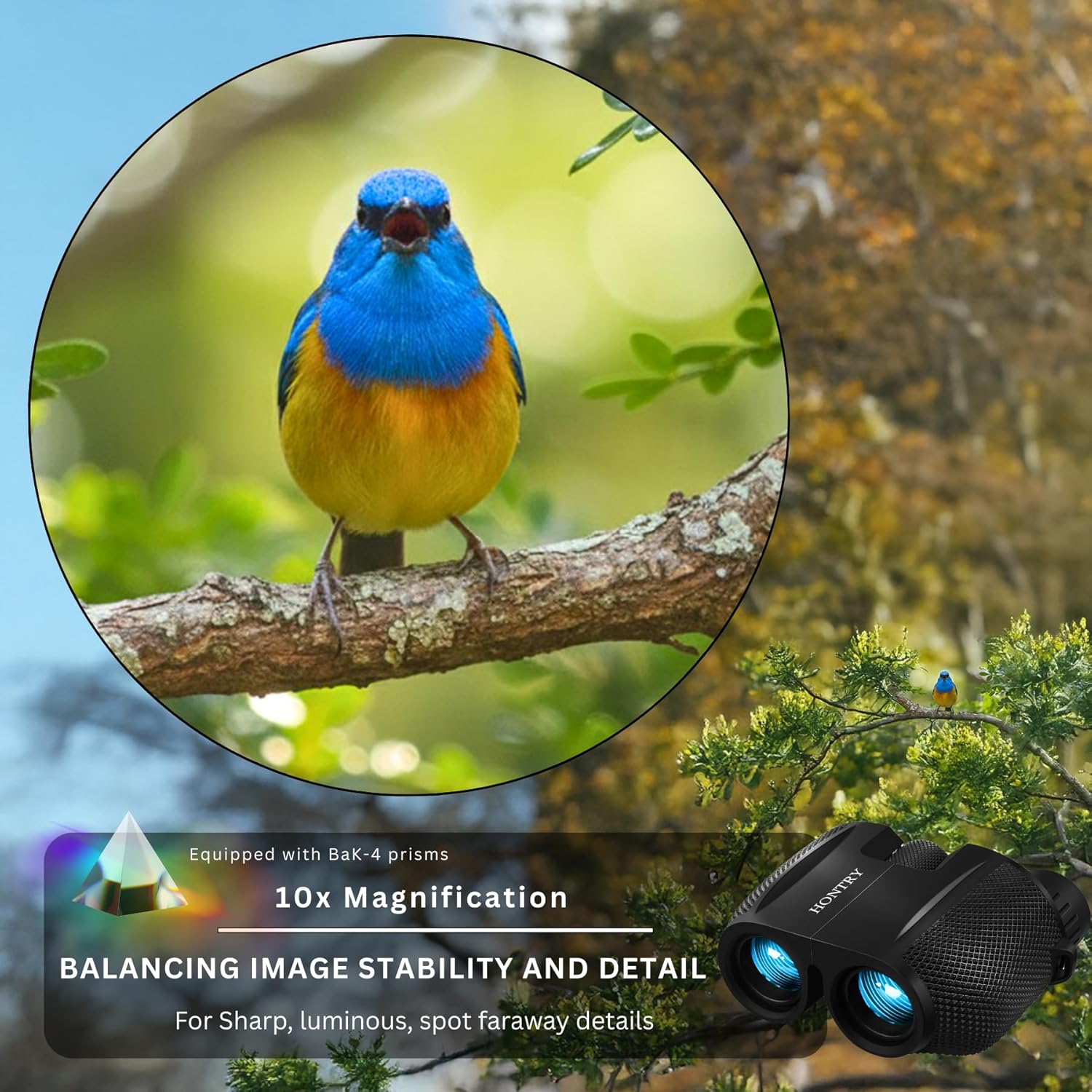 Hontry 10x25 compact binoculars for adults and kids, ideal for bird watching with a lightweight, portable design.