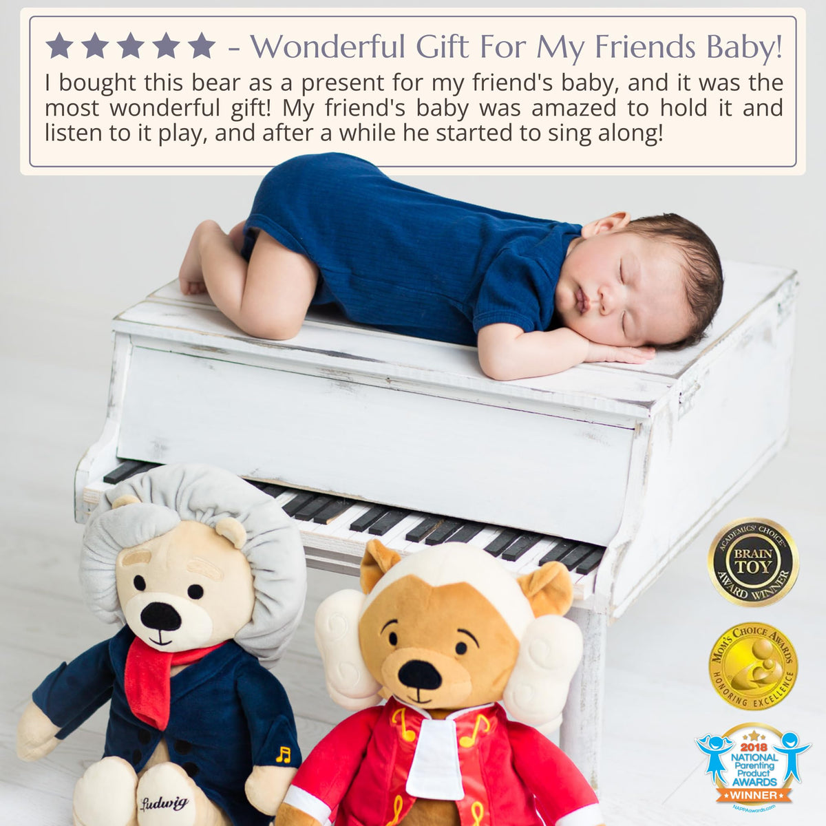 Ludwig Van Beethoven Virtuoso Bear Plays 40 Mins of - Vosego Official Imagery - 6