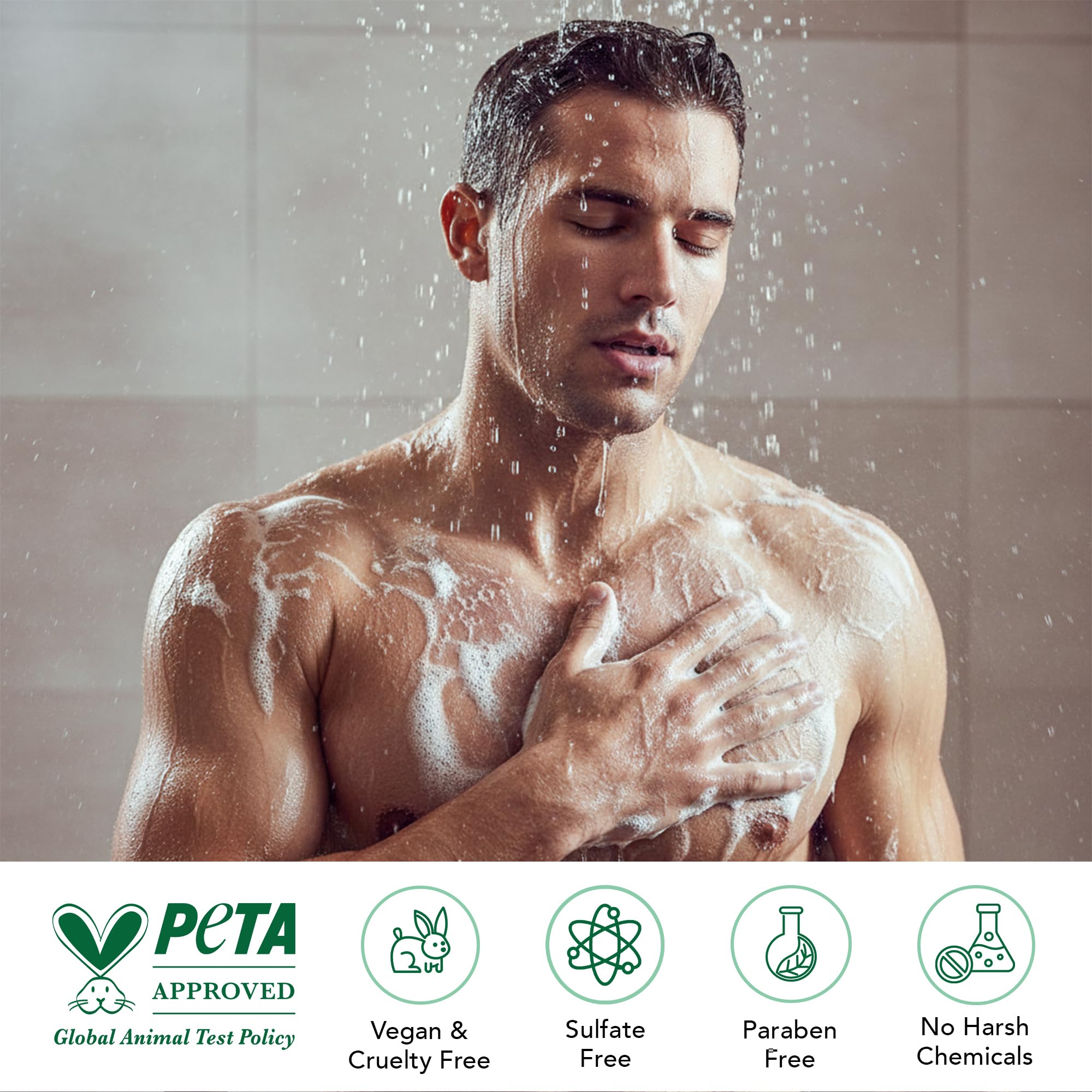Botanic Hearth Tea Tree Body Wash with Peppermint 16oz