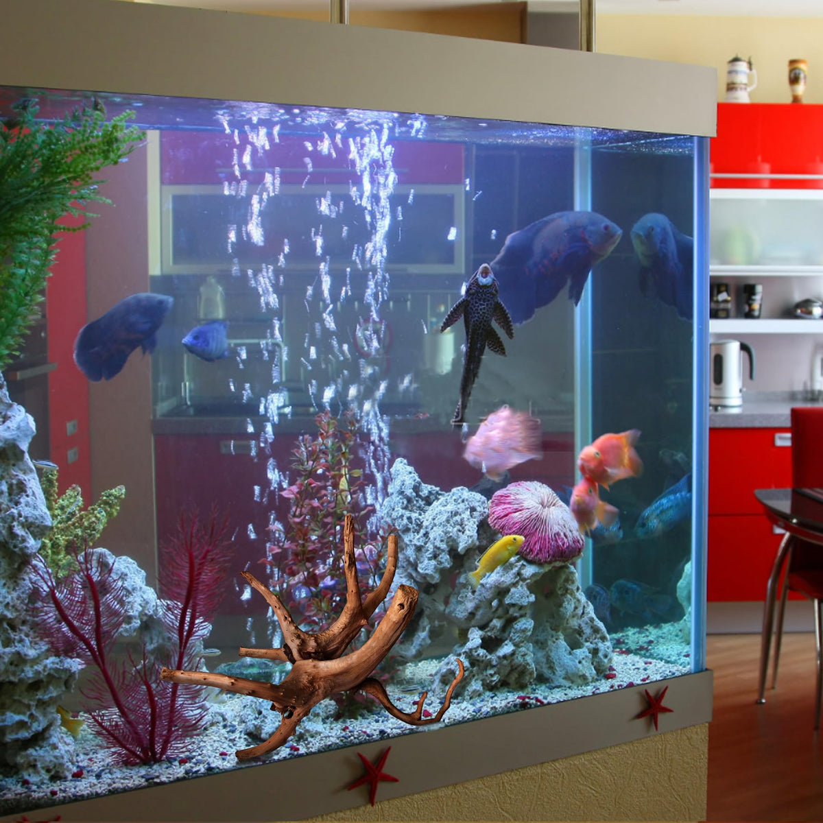 majoywoo Natural Driftwood for Aquarium Decor Fish Tank - majoywoo Official Imagery - 5