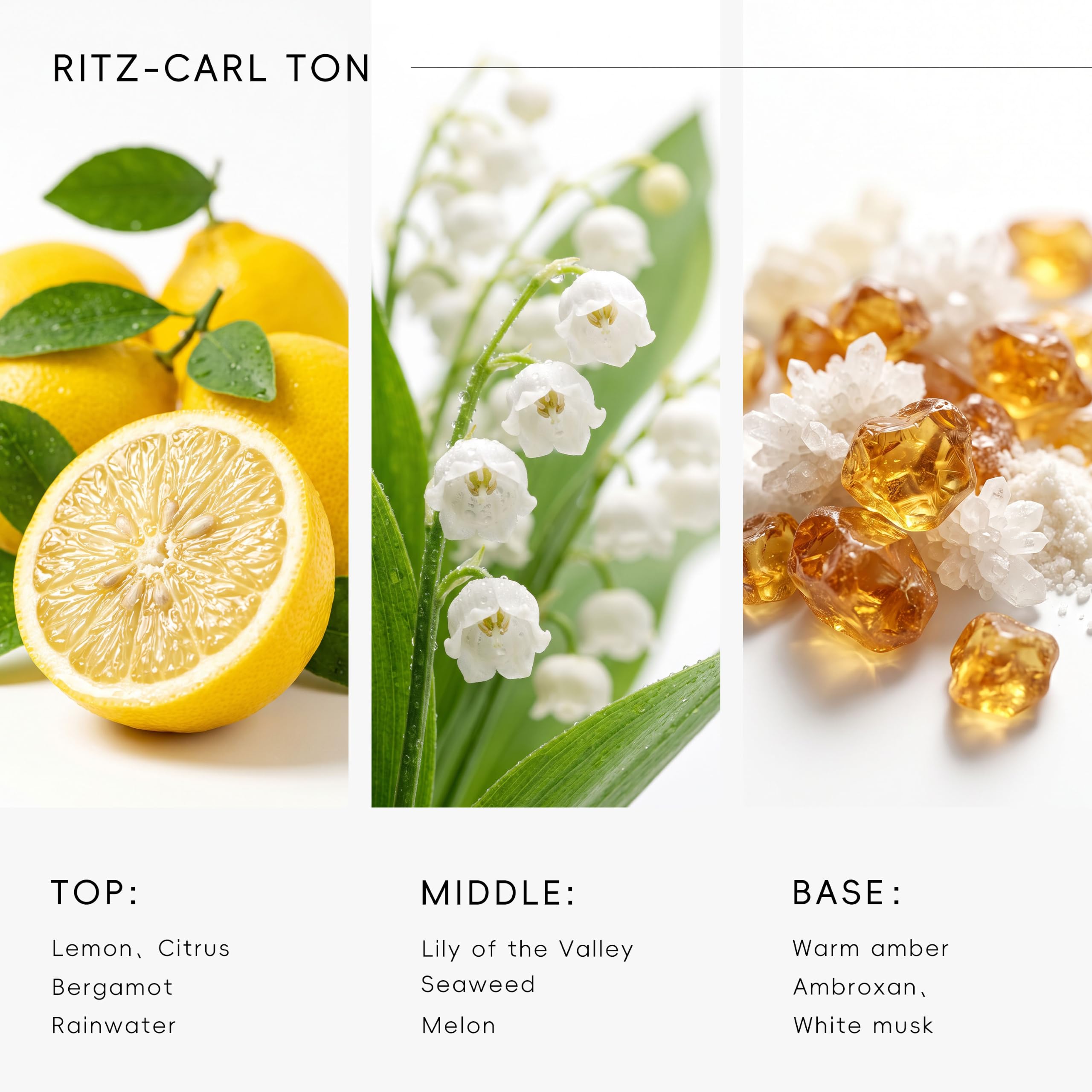 Hotel Diffuser Oil Inspired by Ritz Carlton Scent - APEX SCENT Official Imagery - 8