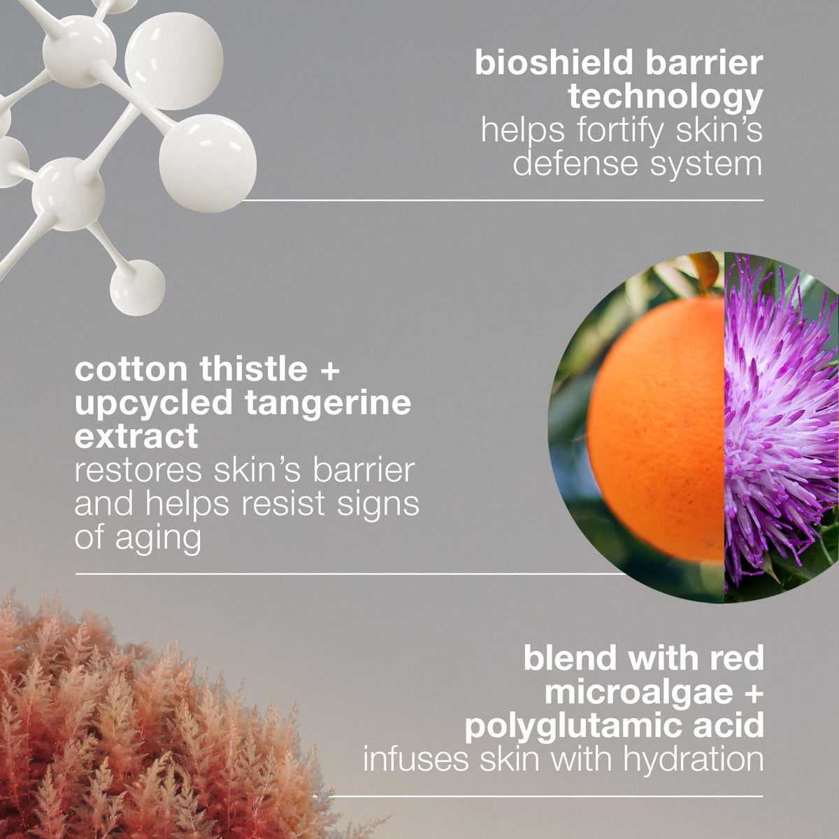 Dermalogica Dynamic Skin Strengthening Serum Barrier Repair - Premium Selection Official Imagery - 6