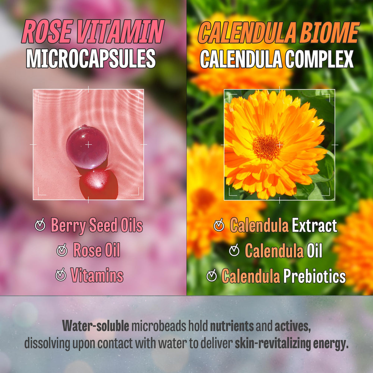 Rose Vitamin Calendula Biome Oil Foam Gift Set - MAXCLINIC Official Imagery - 7