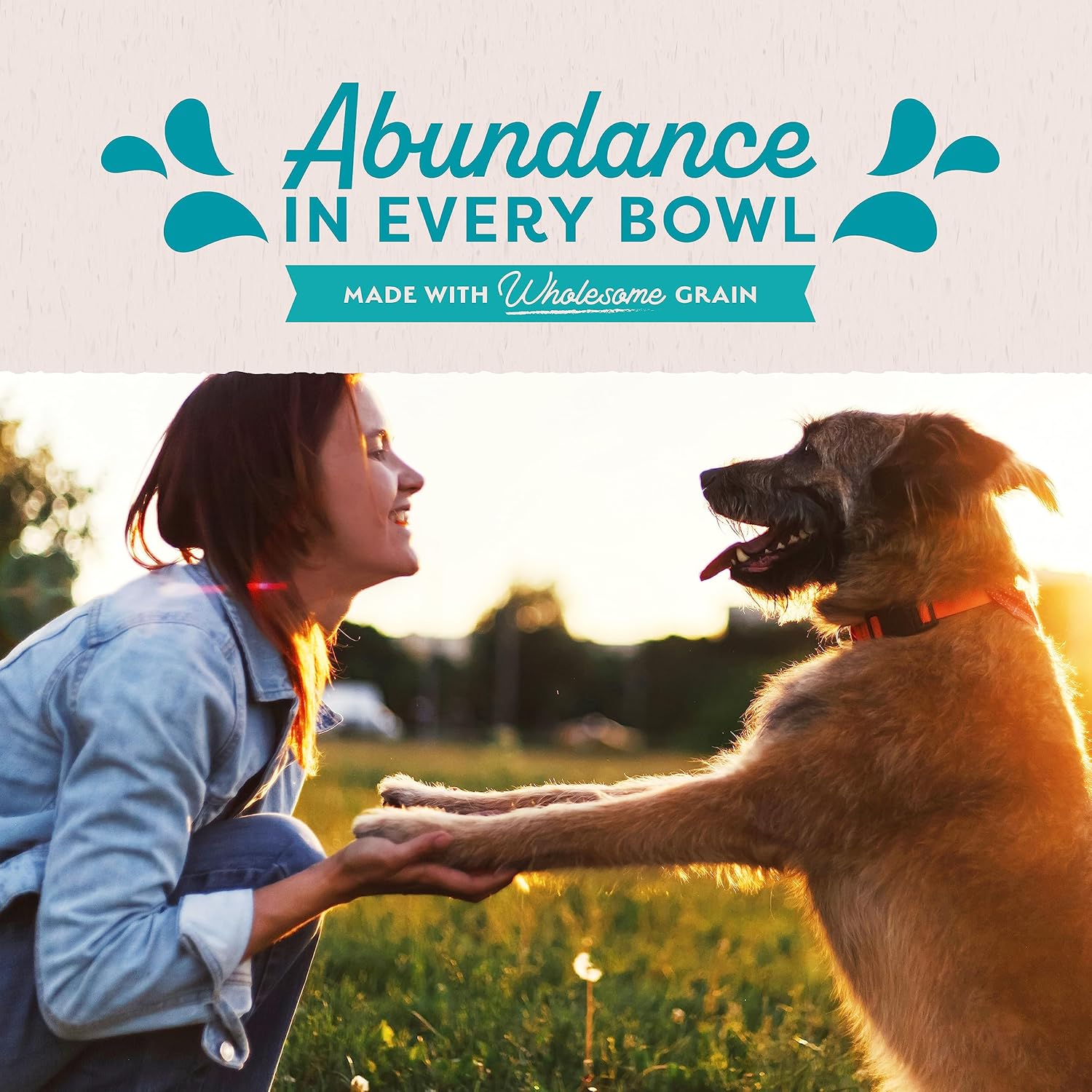 Natural Balance Original Ultra adult wet dog food can with chicken and brown rice, 13 oz, pack of 12