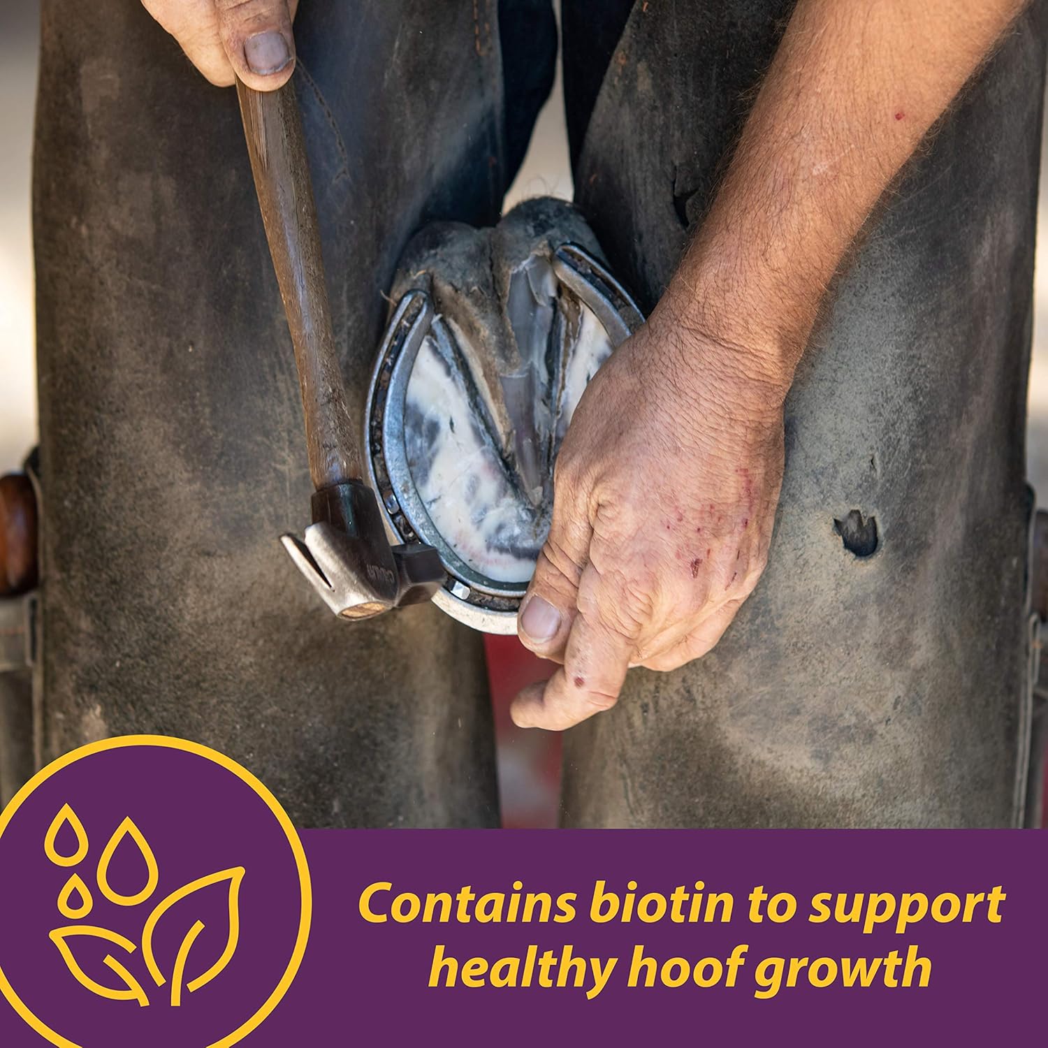 Horse Health Vita Biotin Crumbles for horses, hoof supplement with biotin, 3 lbs, 48-day supply, natural horse hoof support