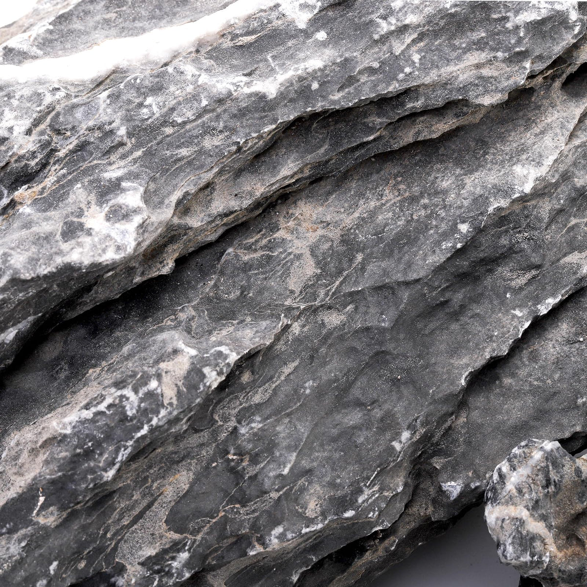 12lb Seiryu Stone Aquarium Rocks for Terrariums Paludarium - Eorbow Official Imagery - 4