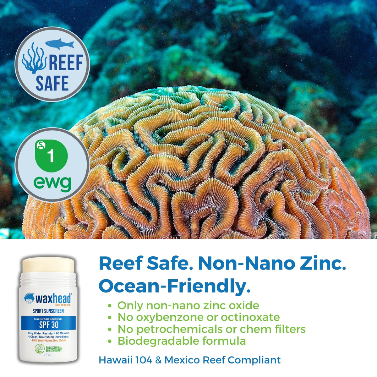 Waxhead Reef Safe Zinc Oxide Sunscreen Stick SPF 30 Face - Waxhead Sun Defense Foods Official Imagery - 6