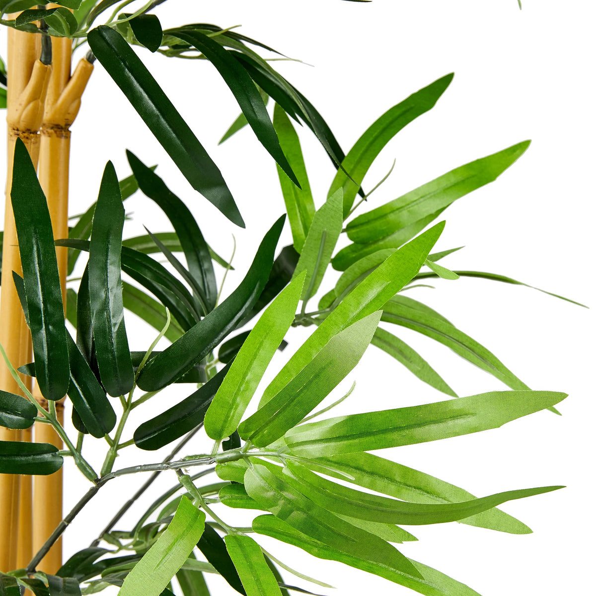 Amazon Basics Artificial Bamboo Plant with Plastic Planter - Amazon Basics Official Imagery - 5