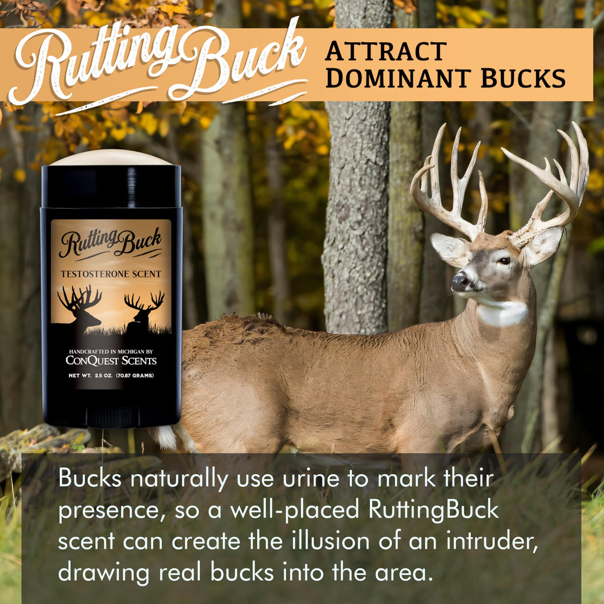 Conquest Scents RuttingBuck Hunting Scent Deer Attractant - Conquest Scents Official Imagery - 5