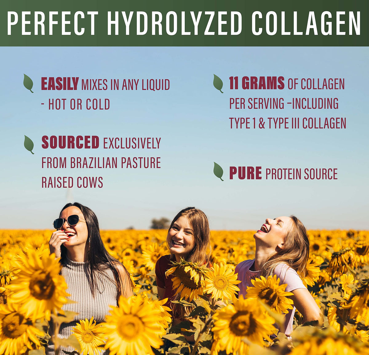 Perfect Supplements Perfect Hydrolyzed Collagen Powder 660 - Perfect Supplements Official Imagery - 5