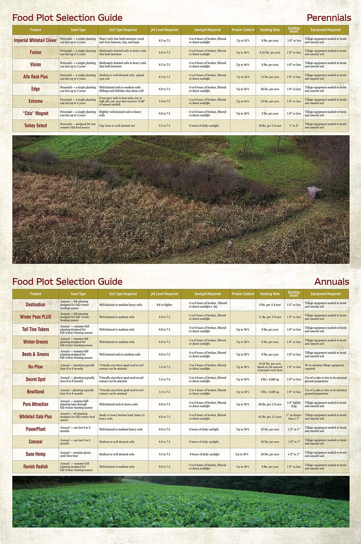 Whitetail Institute FUSION Deer Food Plot Seed for Spring or - Whitetail Institute Official Imagery - 6