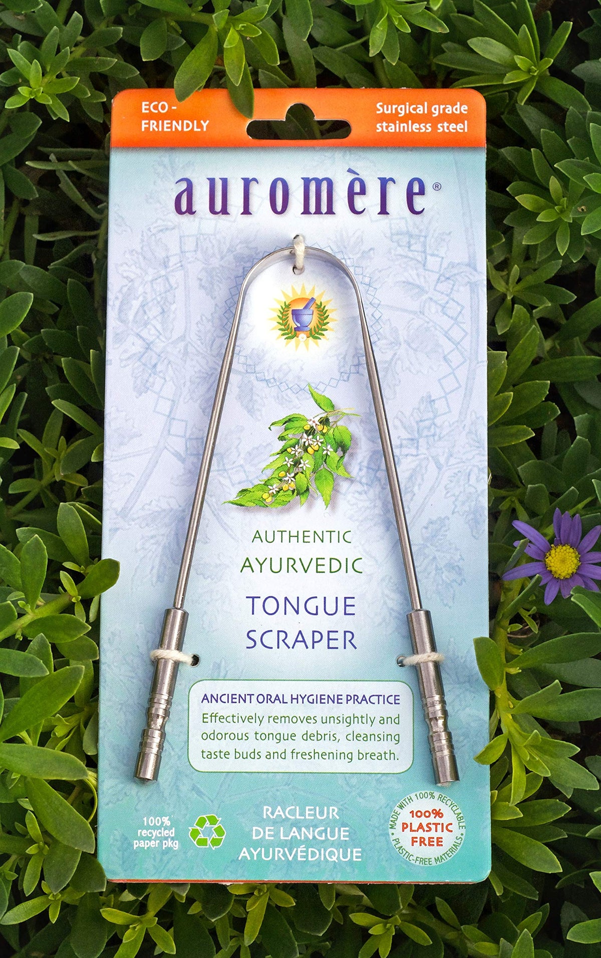 Auromere Stainless Steel Tongue Scraper Cleaner for Bad - Auromere Official Imagery - 4