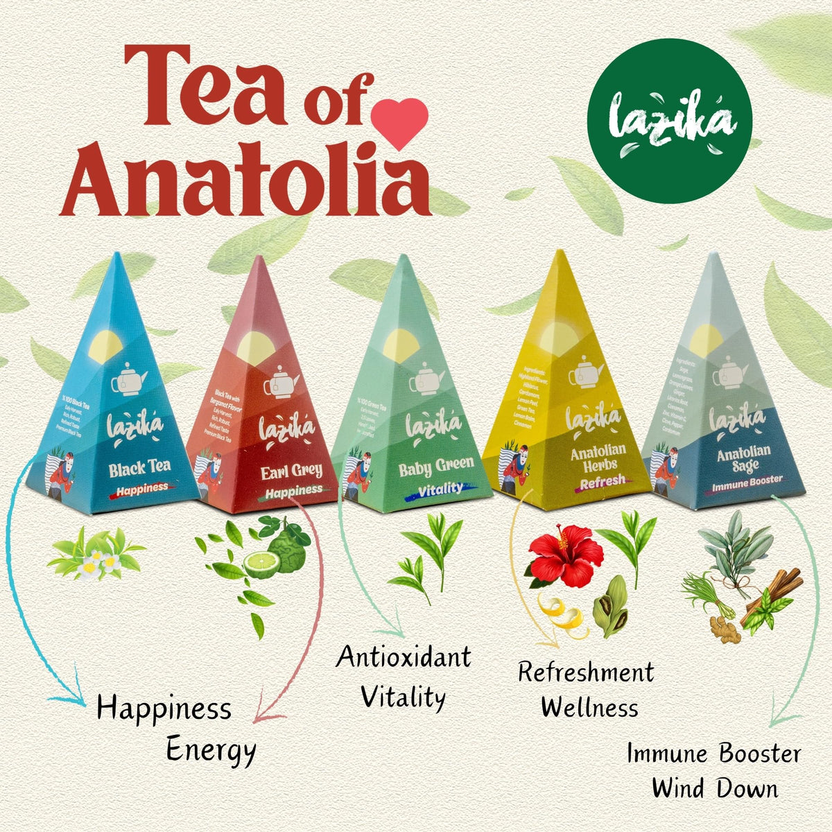 Lazika Tea Sampler with Premium Presentation Box 20 Counts 4 - LAZİKA Official Imagery - 3