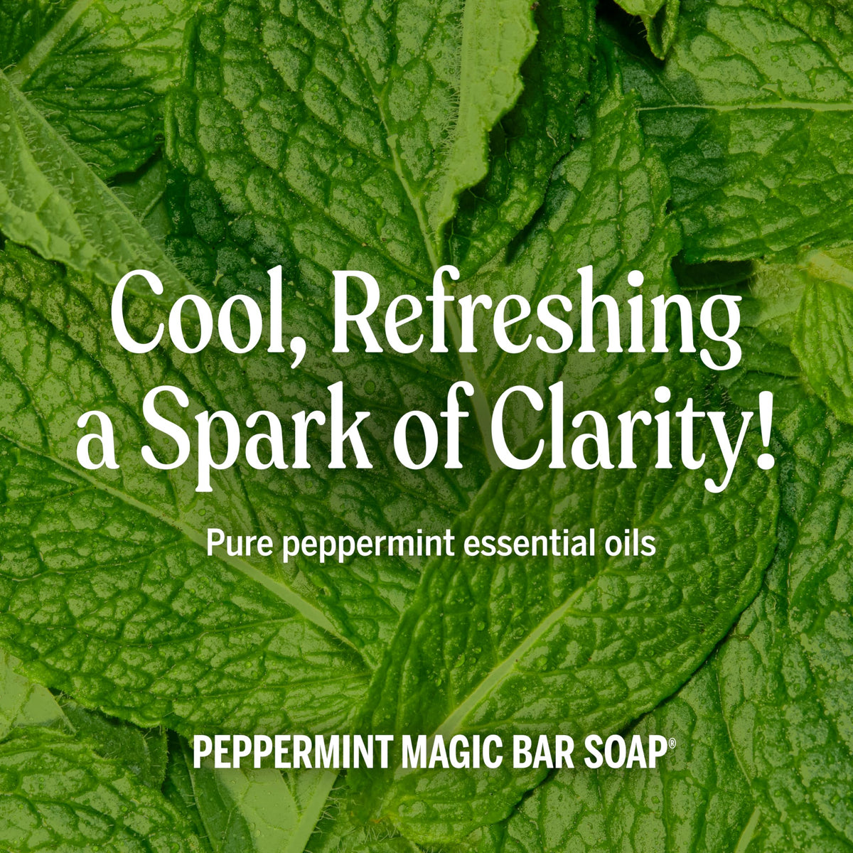 Dr Bronner s Castile Bar Soap for Men Women Peppermint 5 oz - Dr. Bronner's Official Imagery - 6