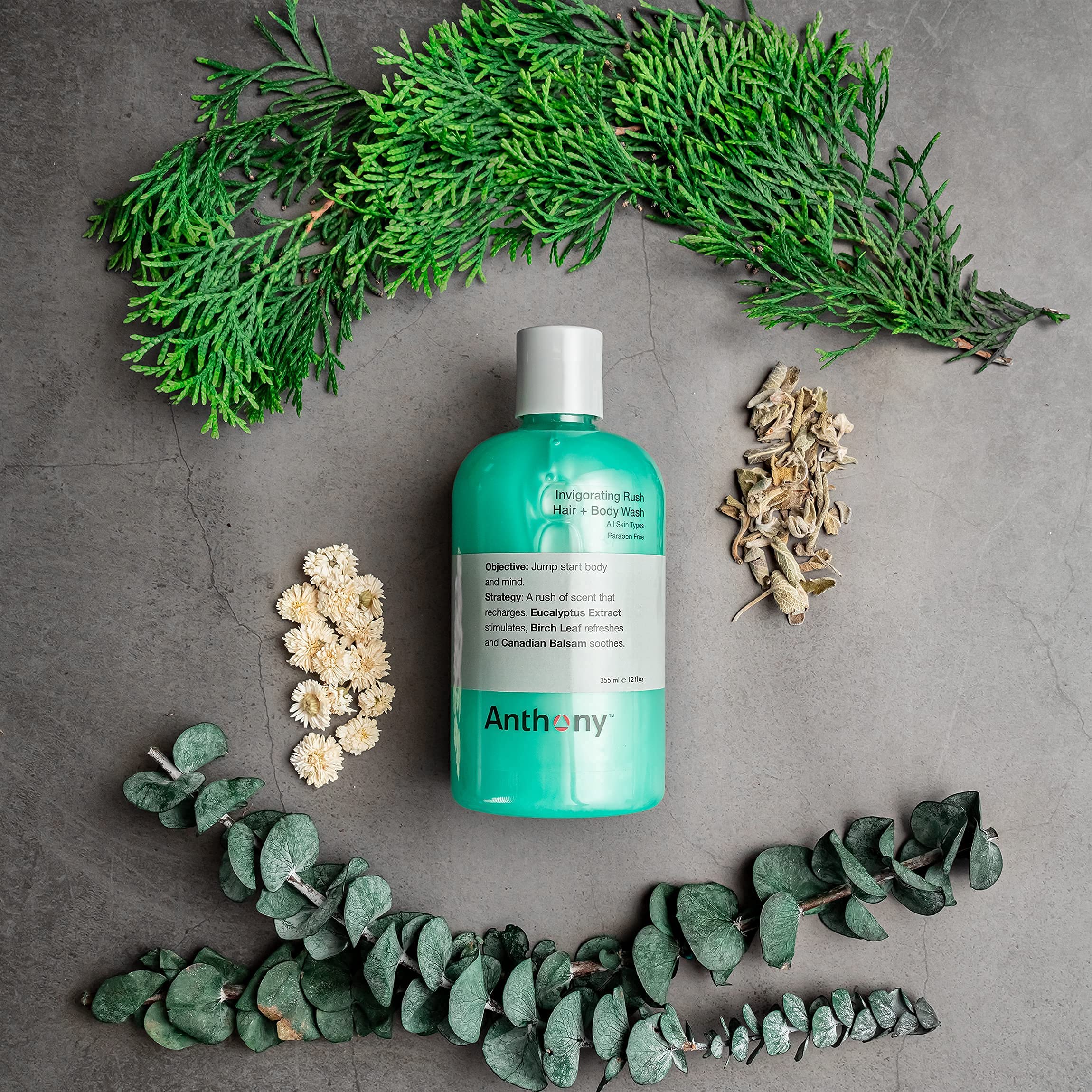 Anthony Algae Facial Cleanser, Facial Scrub, Blue Sea Kelp Body - Anthony