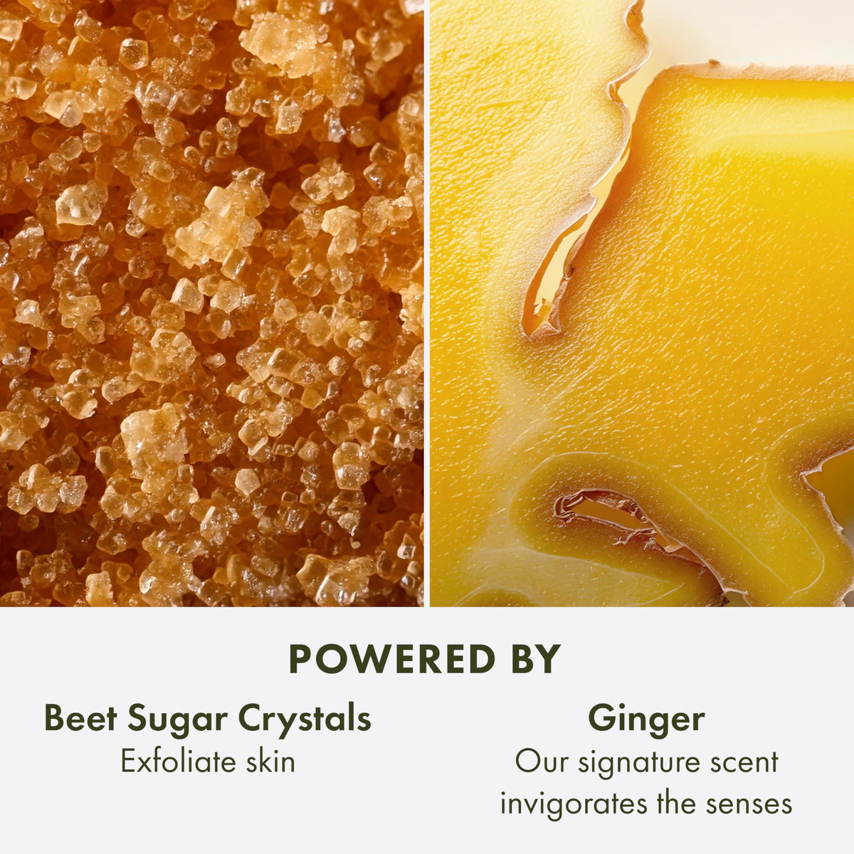 Origins Incredible Spreadable Smoothing Ginger Body Scrub - Premium Selection Official Imagery - 6