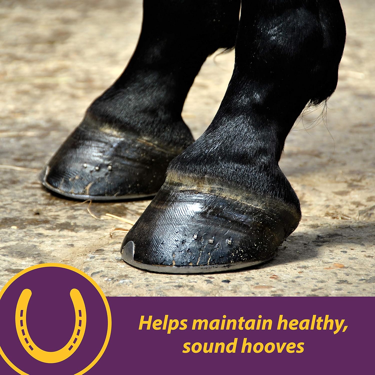 Horse Health Vita Biotin Crumbles horse hoof supplement in 3 lb bag, includes biotin for healthy hooves and hoof growth.