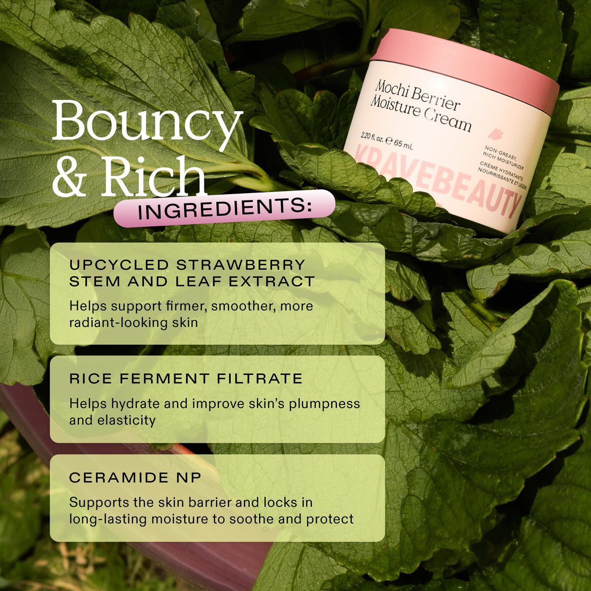 KraveBeauty Mochi Berrier Moisture Cream for Dry Sensitive - KraveBeauty Official Imagery - 7