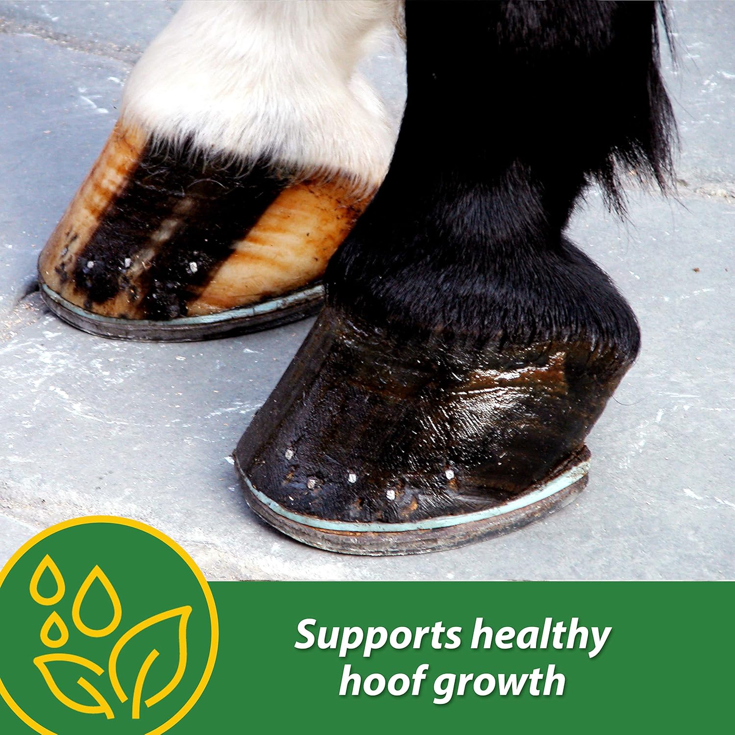 Farnam HB 15 Hoof Supplement in 3-pound container for healthy hoof growth, ideal for horses, 48-day supply.