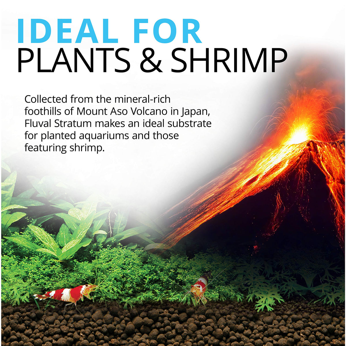 Fluval 12694 Plant and Shrimp Stratum for Freshwater Fish - Fluval Official Imagery - 3