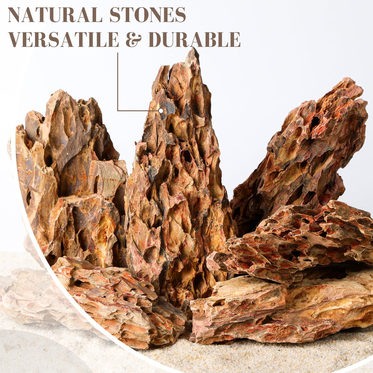 6 1 8 1 Inches Natural Dragon Stone 6 PCS Large Aquarium - FISCAPE Official Imagery - 6