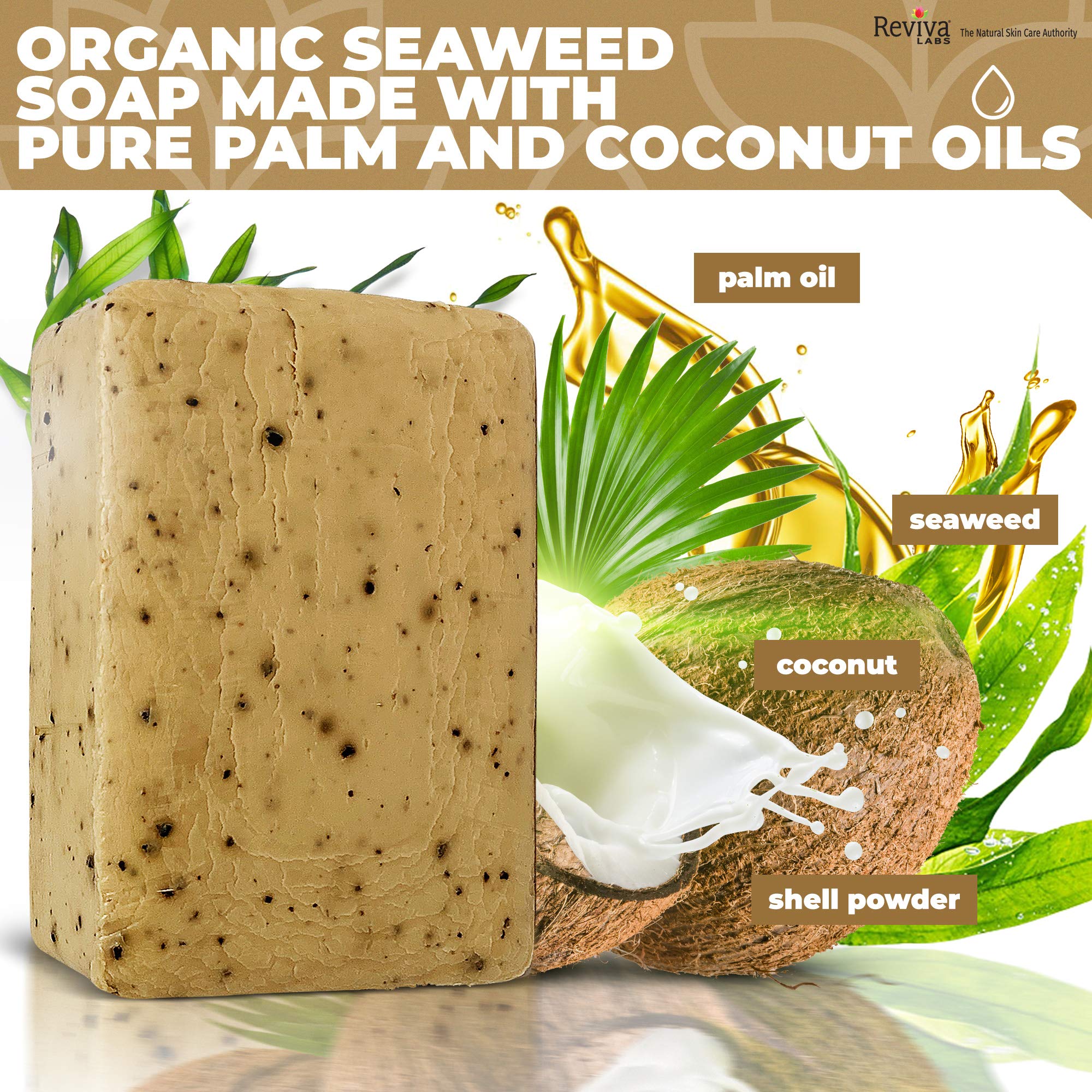 Reviva Labs Reviva Seaweed Soap - Organic Seaweed Face Scrub and Exfolia - Reviva Labs Official Product View 8