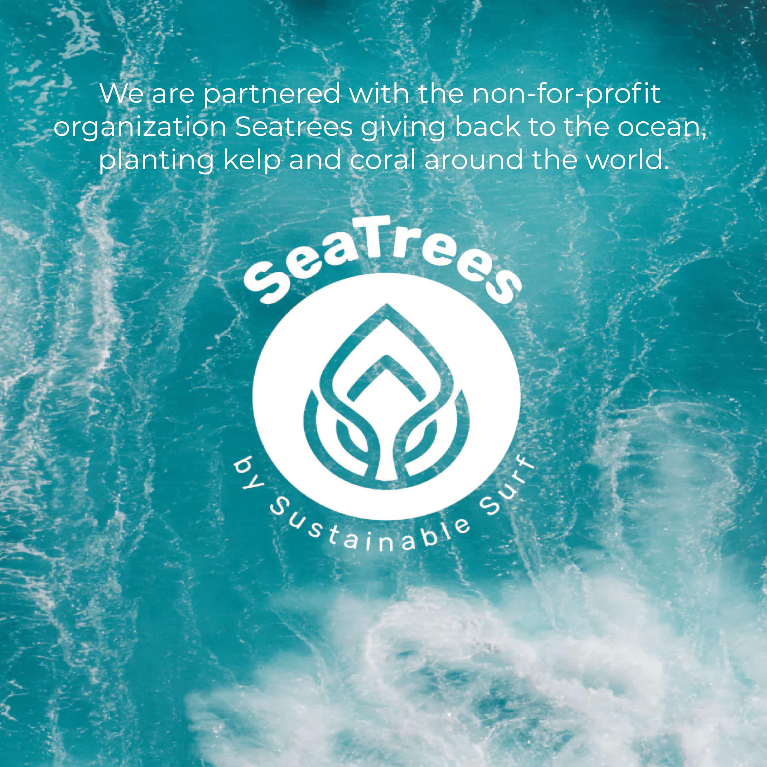 Sea El Kelp Tamanu Oil Night Cream Hydrating Face - Sea-El Official Imagery - 7