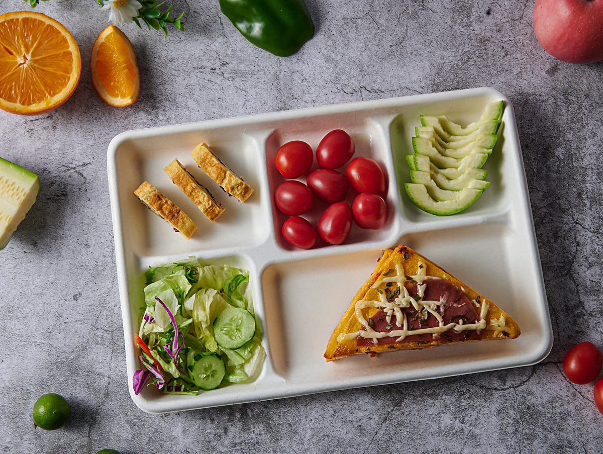 Vplus Compostable 5 Compartment Paper Plates 100 Pack 12 5 x - Vplus Official Imagery - 5