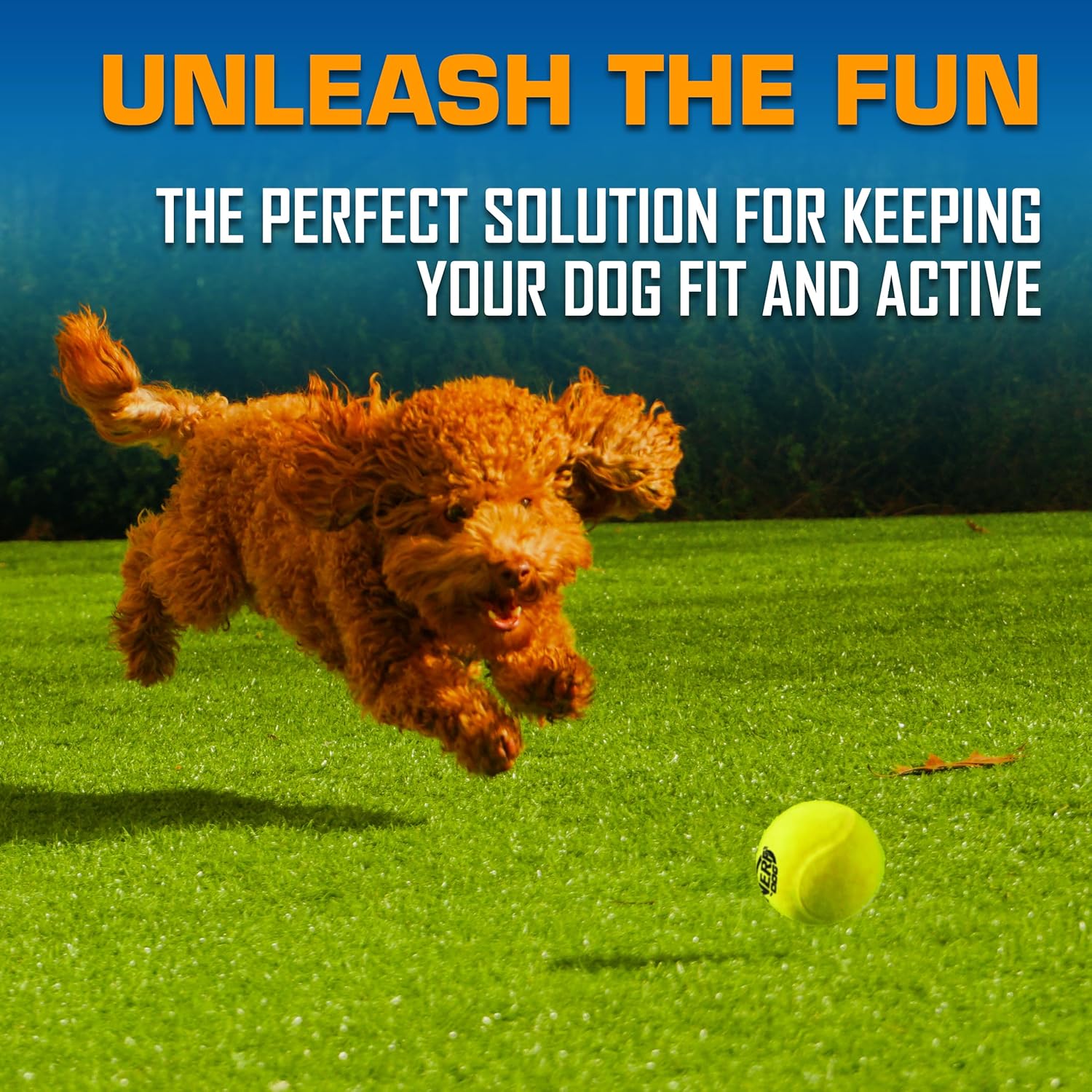 Nerf Dog Tennis Ball Blaster toy set with tennis balls for dogs, designed for fetch and play outdoor activities.