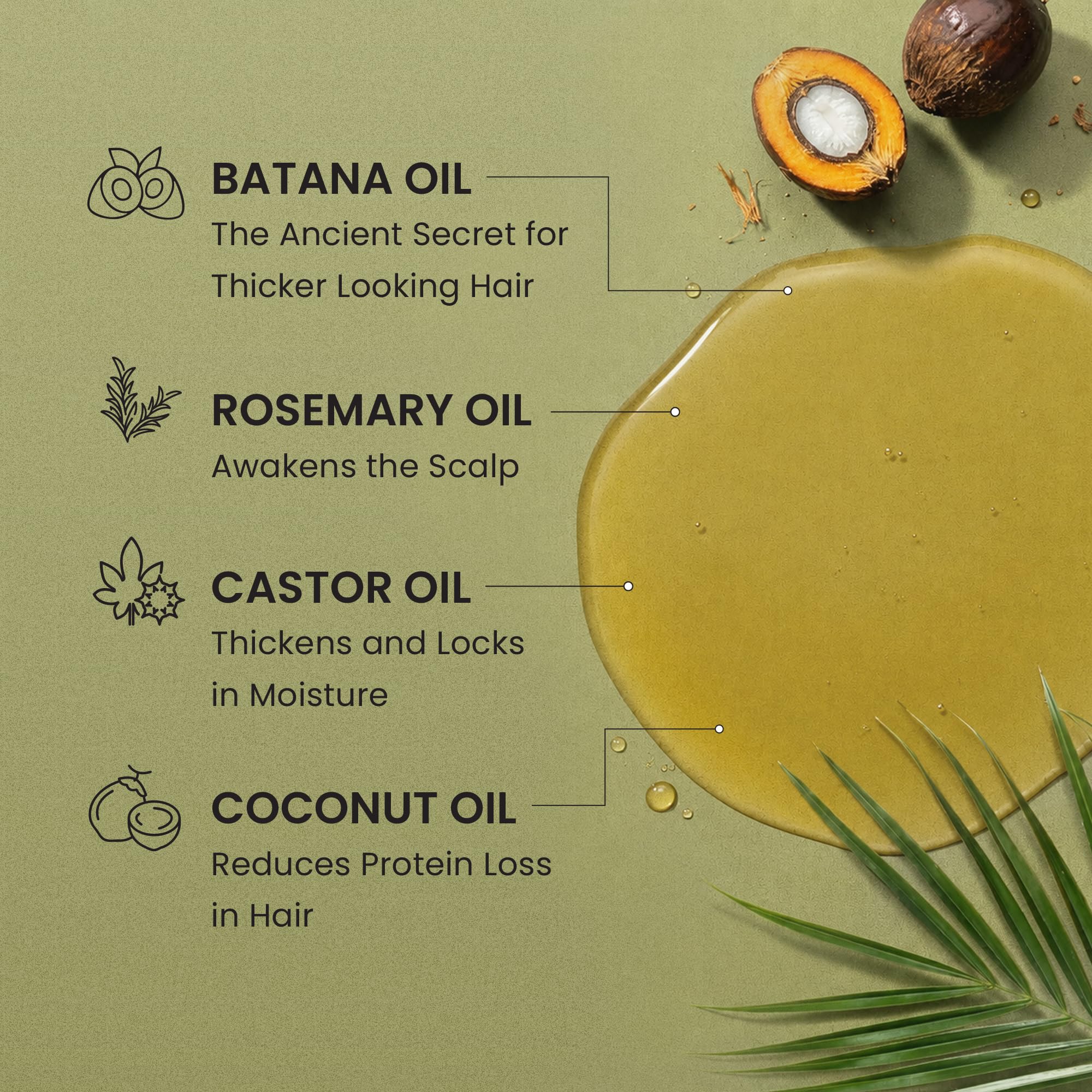Lebanta Batana Oil For Hair - 100% Pure & Raw & Natural Blend With O - Lebanta Official Product View 4