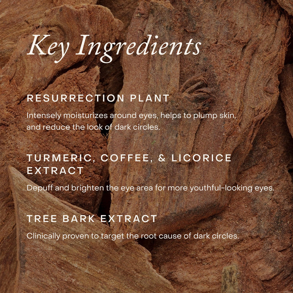True Botanicals Resurrection Radiance Eye Cream for Dark - True Botanicals Official Imagery - 6